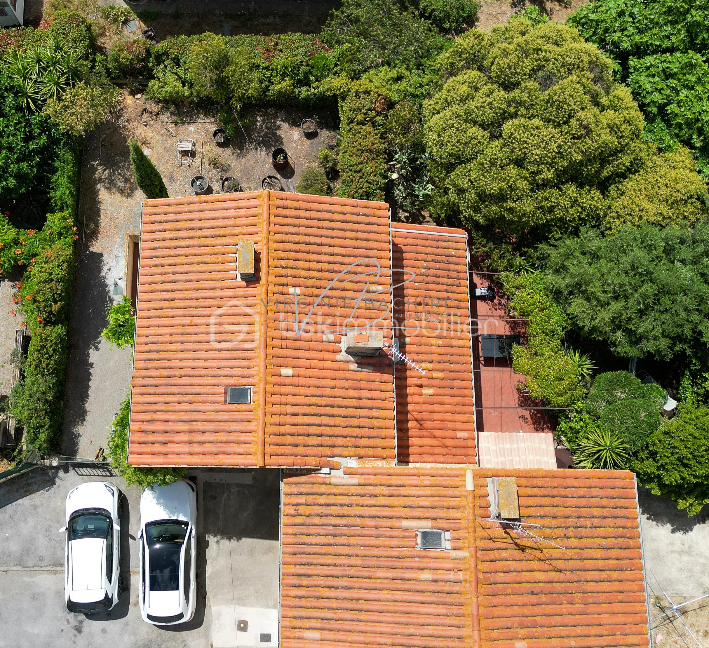 DJI_0377-2.jpg