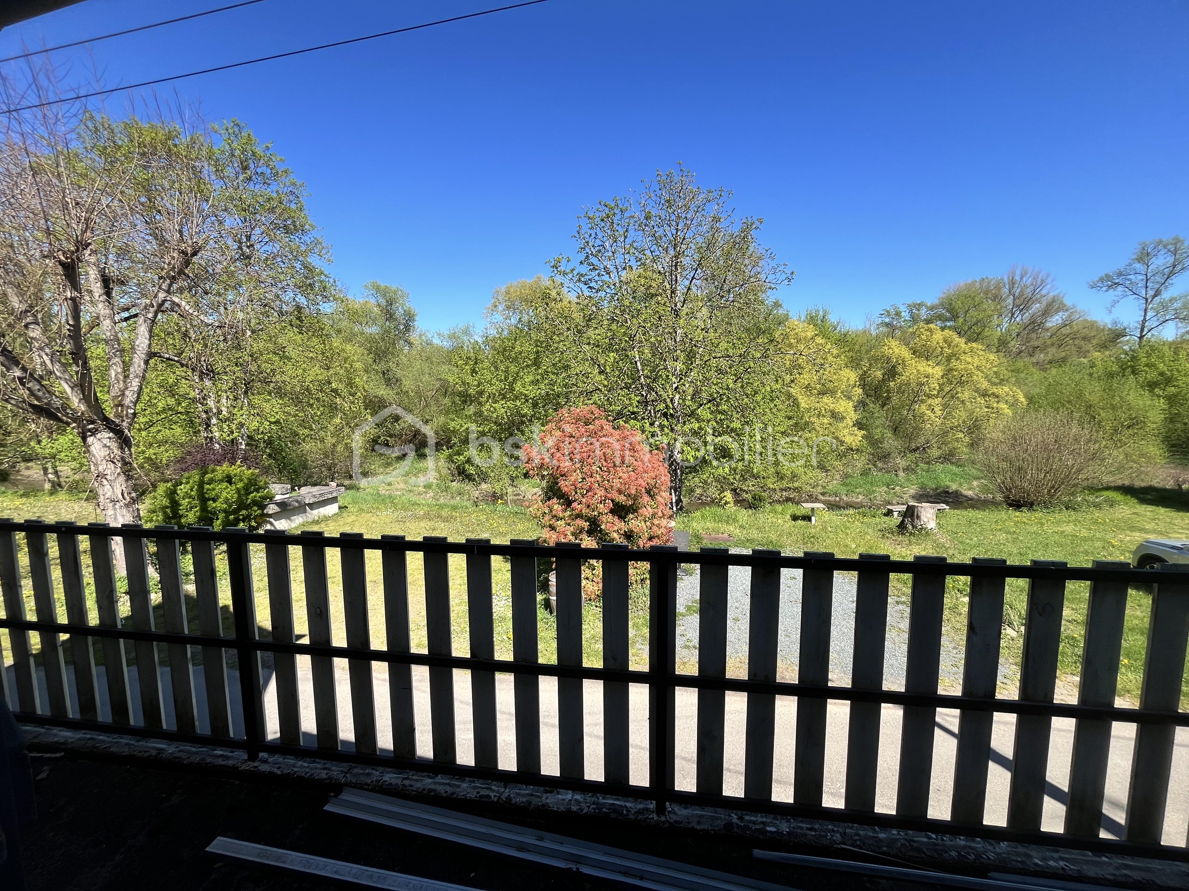 IMG_2961.jpeg