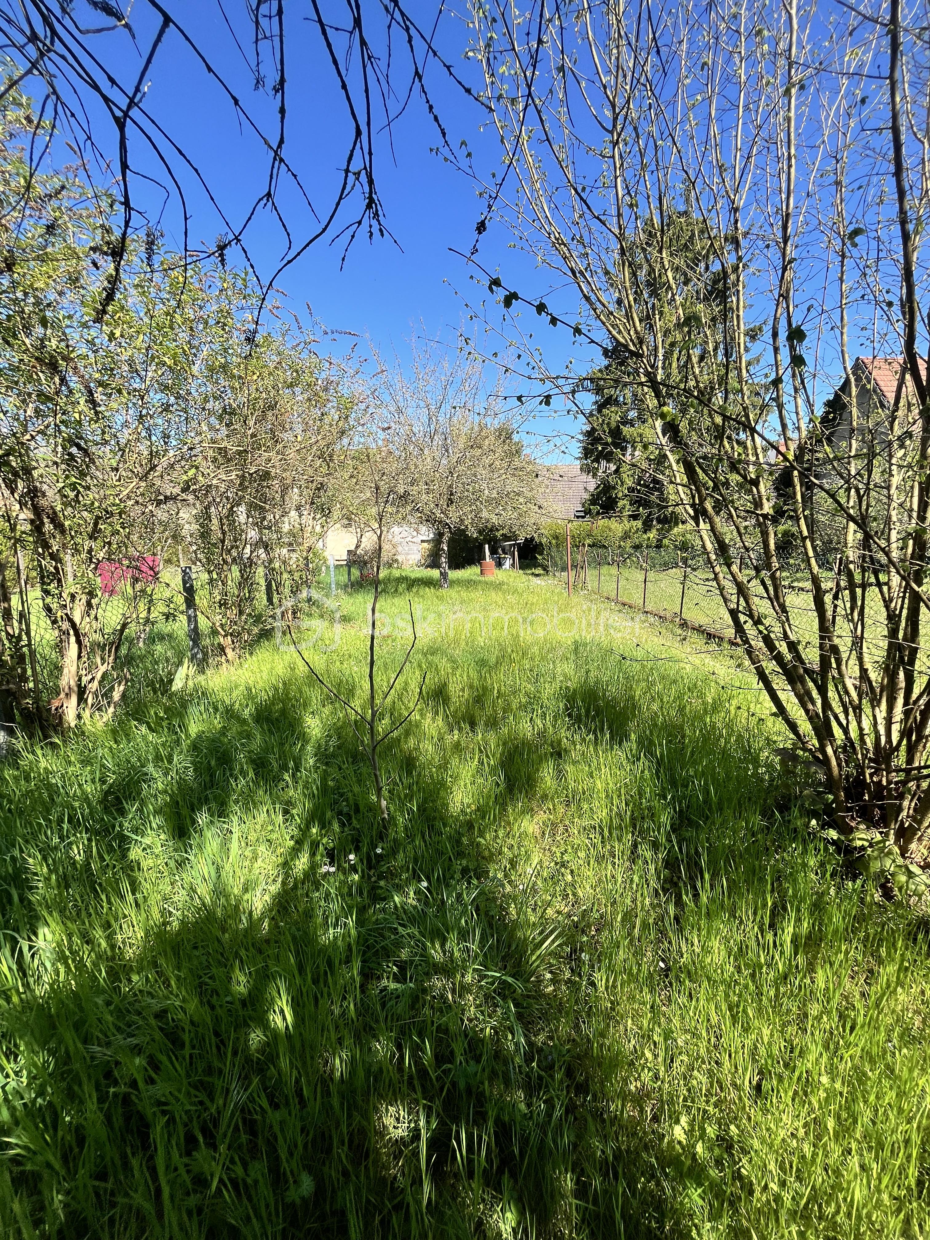 IMG_2992.jpeg