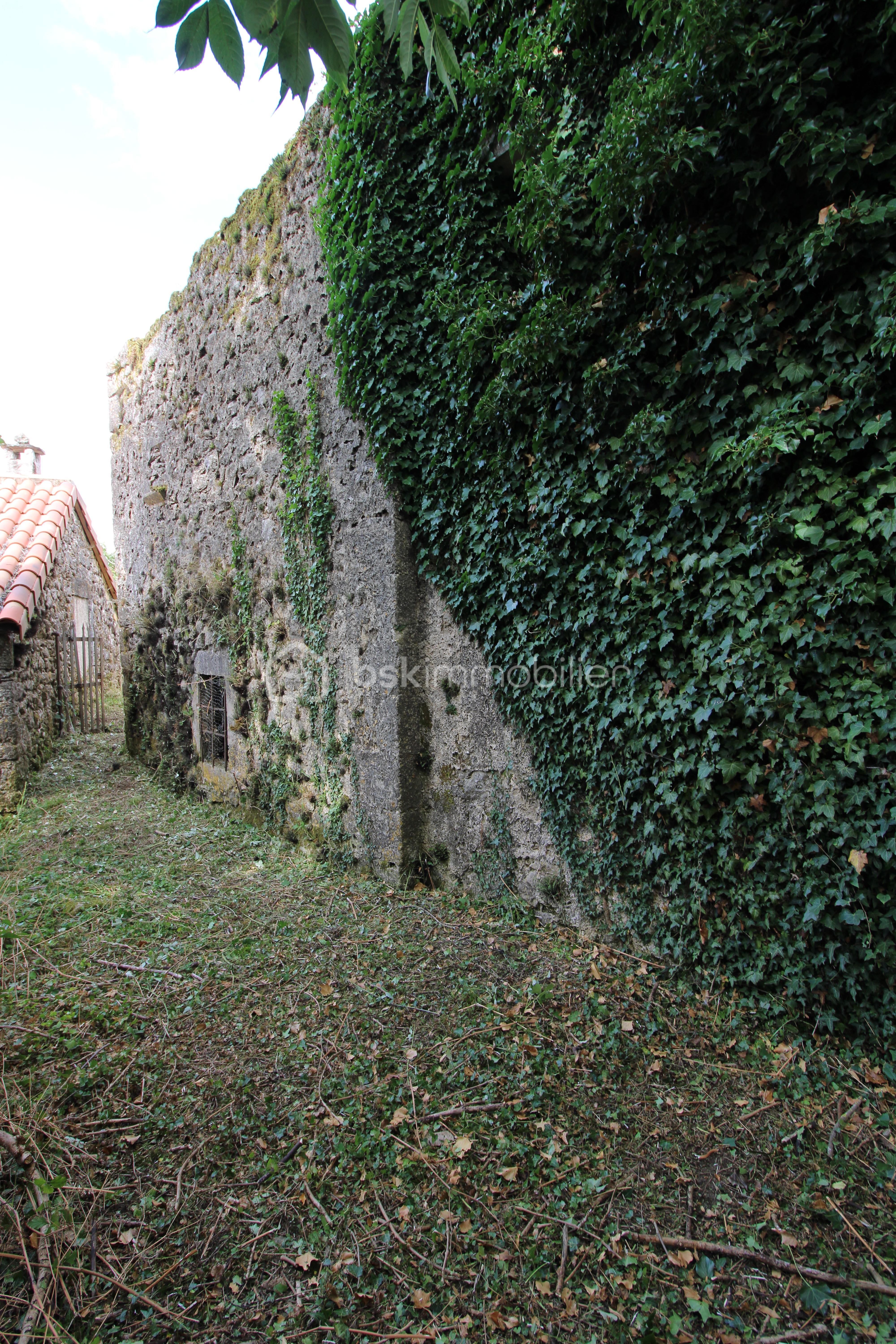 Fermette de 100 m² - IMG_2252.JPG