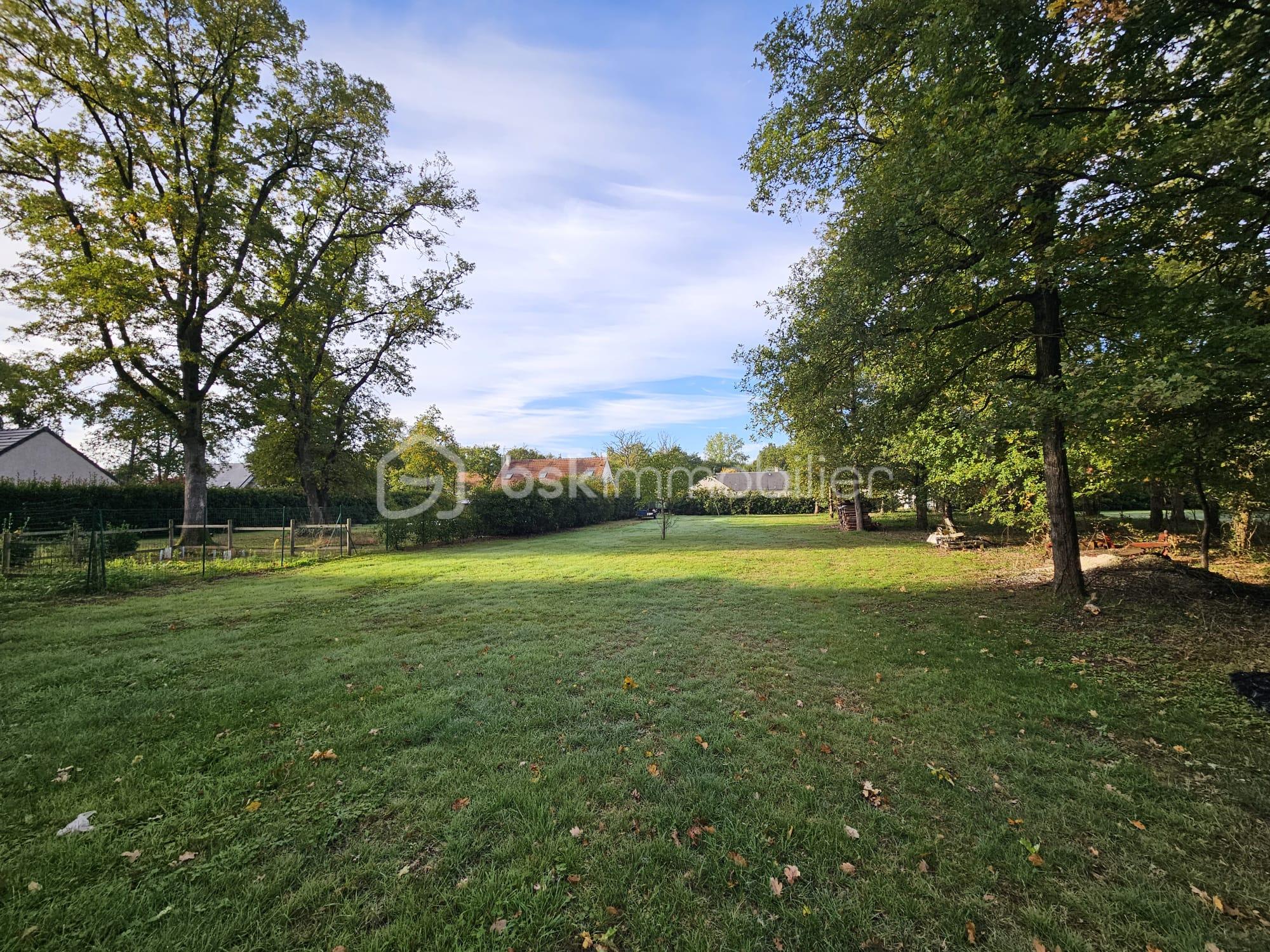 Terrain de 1 130 m² - WhatsApp Image 2025-10-08 at 22.25.30 (1).jpeg