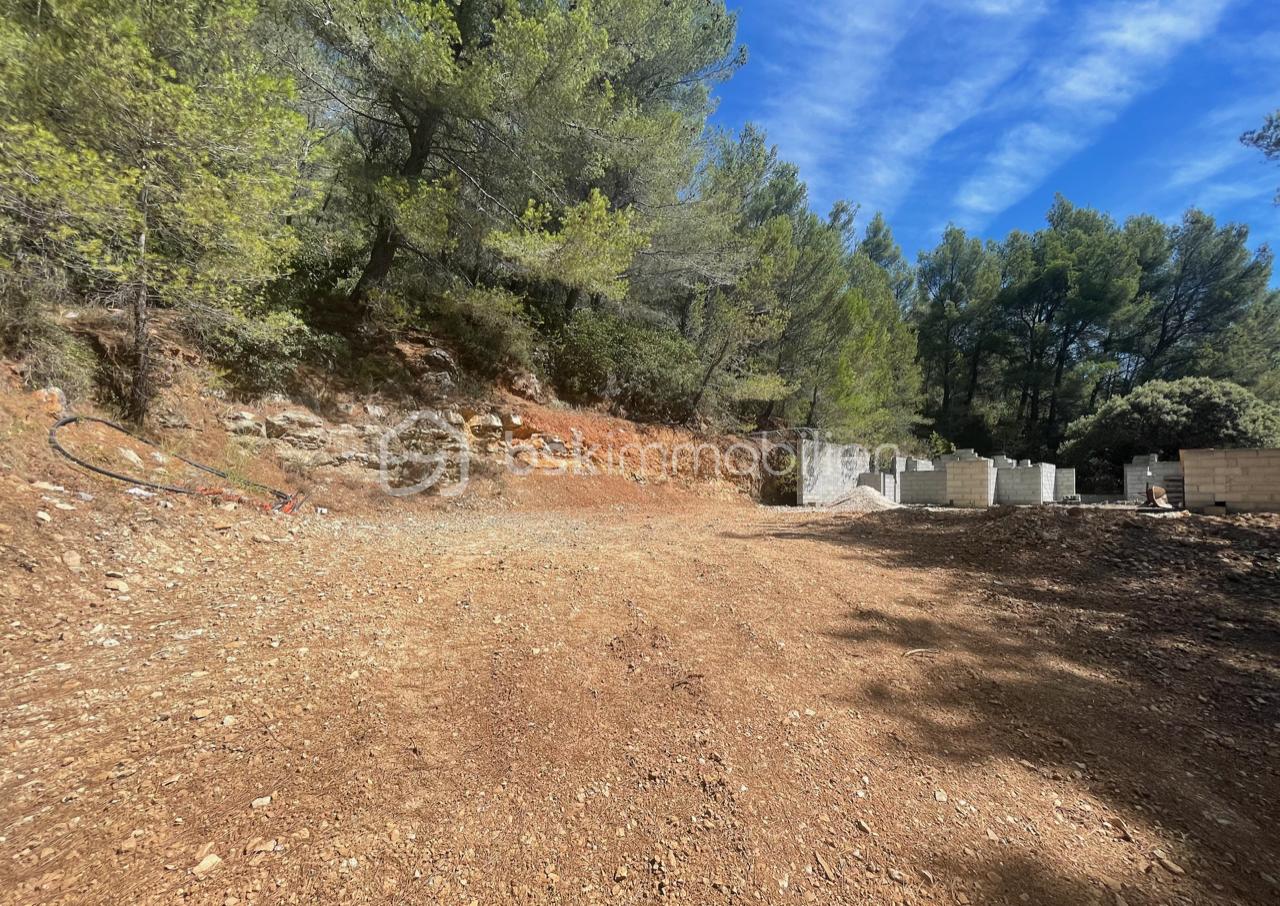 Terrain de 40 890 m² - PABC2 2.png