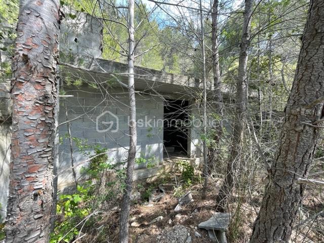 Terrain de 40 890 m² - ENTREESOUSDALLE.jpg