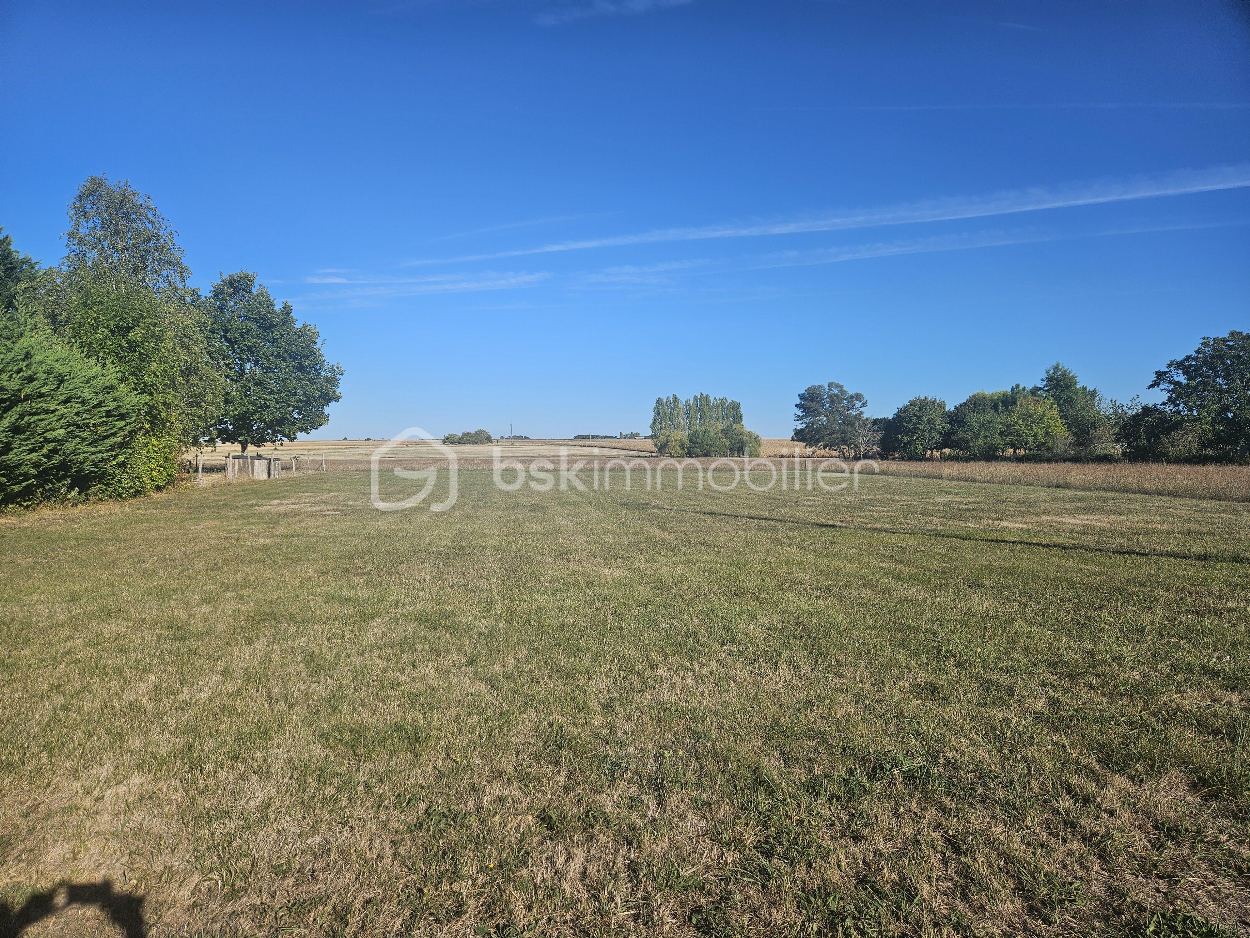 terrain entier 2.jpg