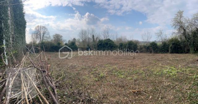 Design sans titre (34).png