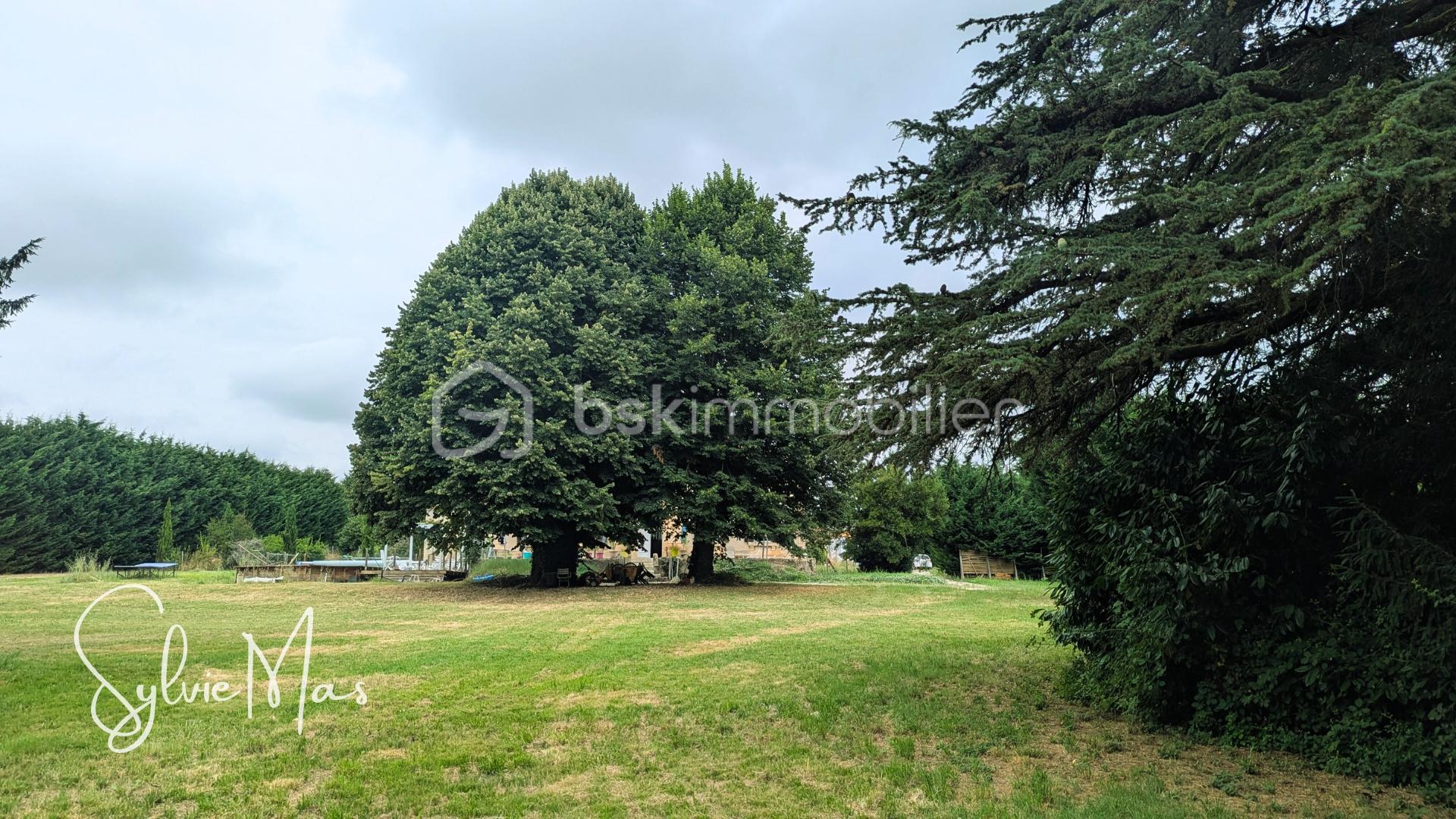 Maison de maitre de 264 m² - 5.jpg