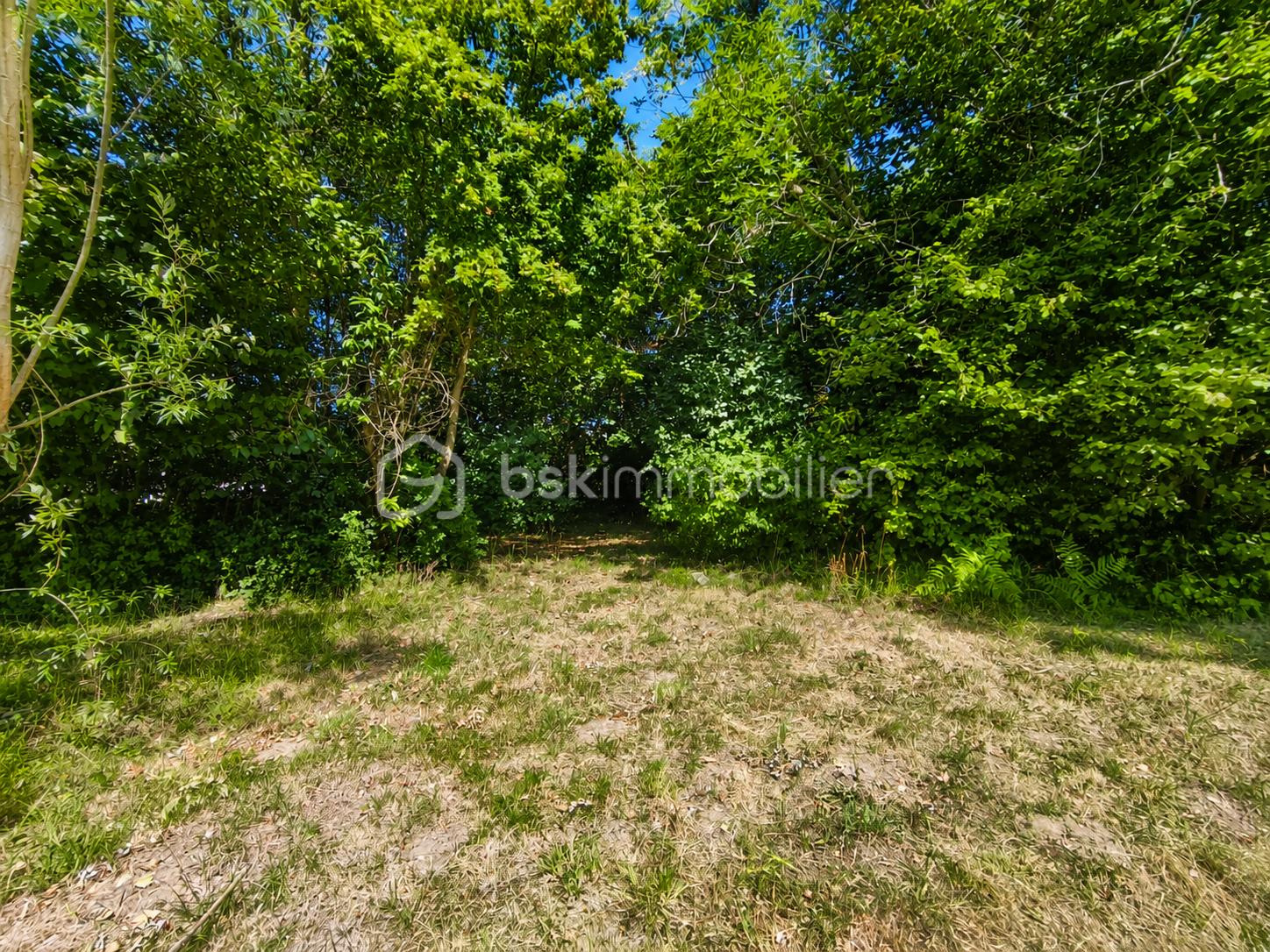 ChatGPT Image 27 juil. 2026, 23_38_08.png