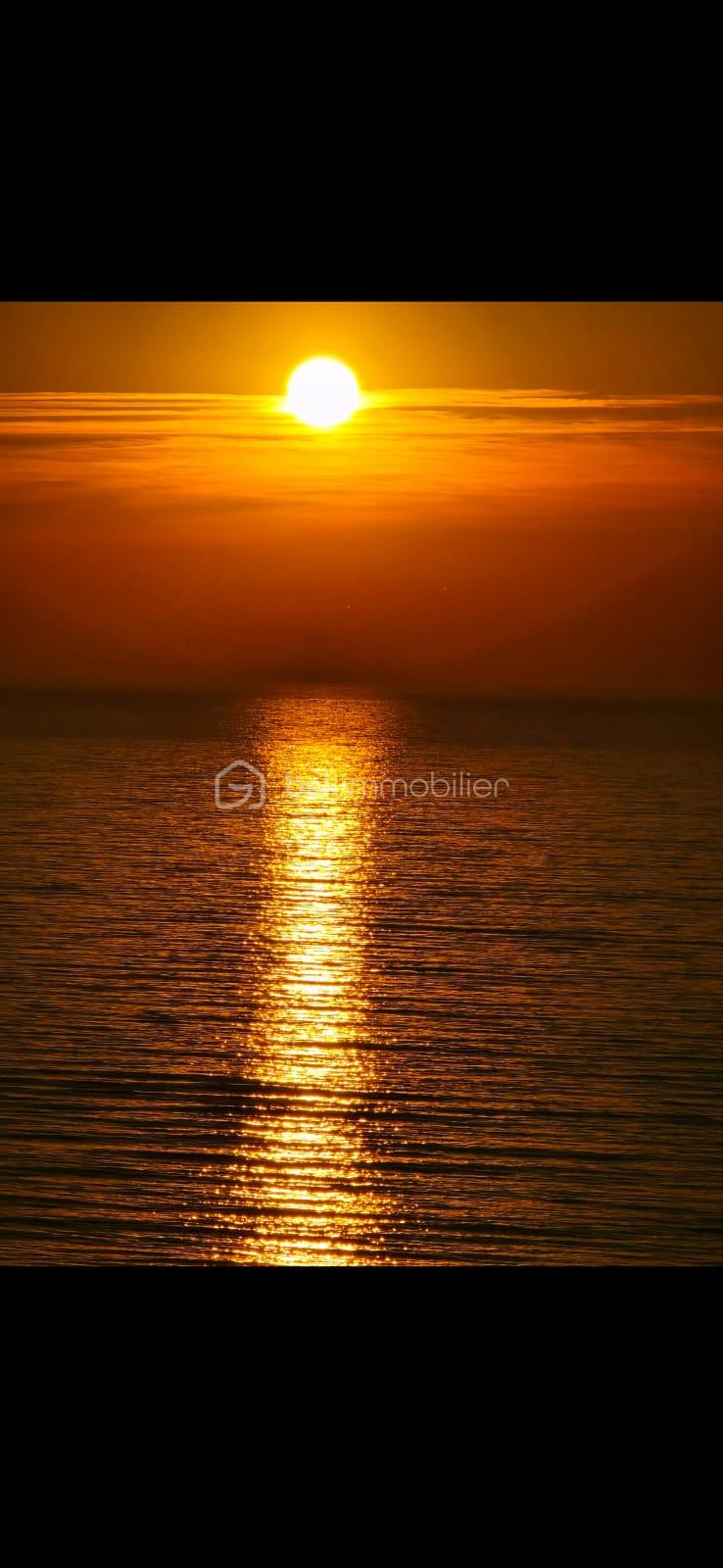 Appartement de 17 m² - 1000007156.jpg