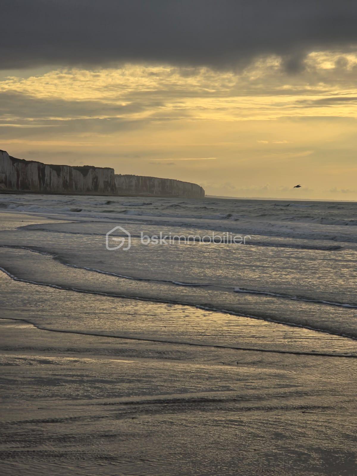 Appartement de 17 m² - 1000007220.jpg