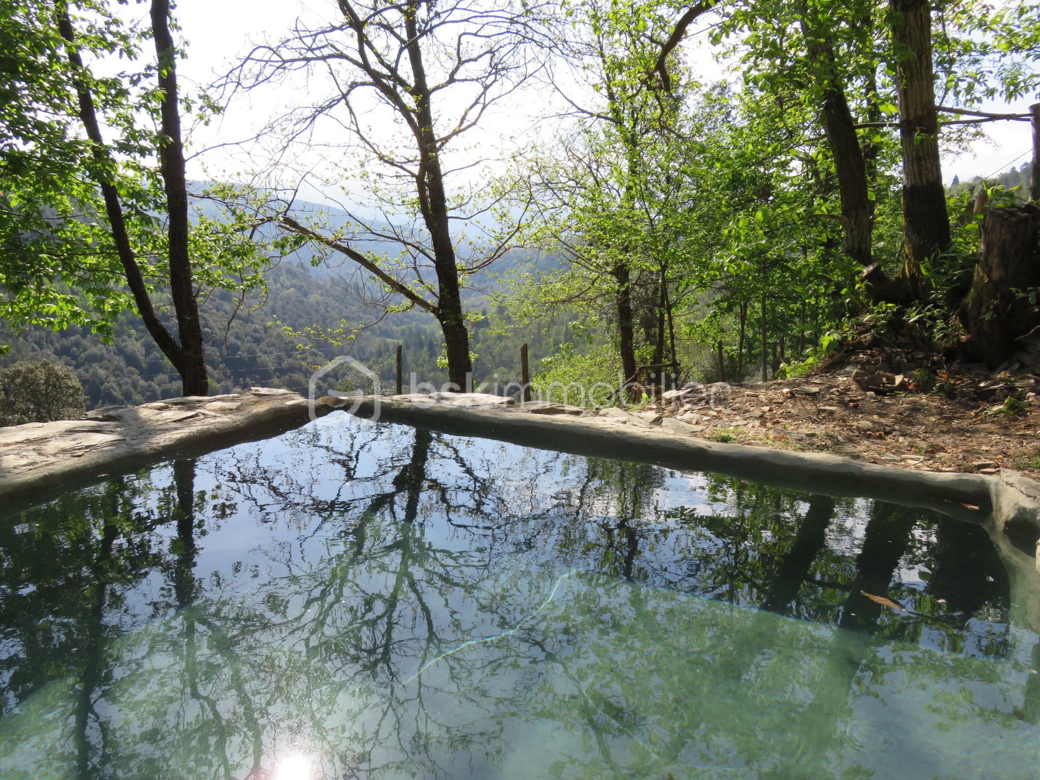 Mas de 90 m² - source-bassin.jpg