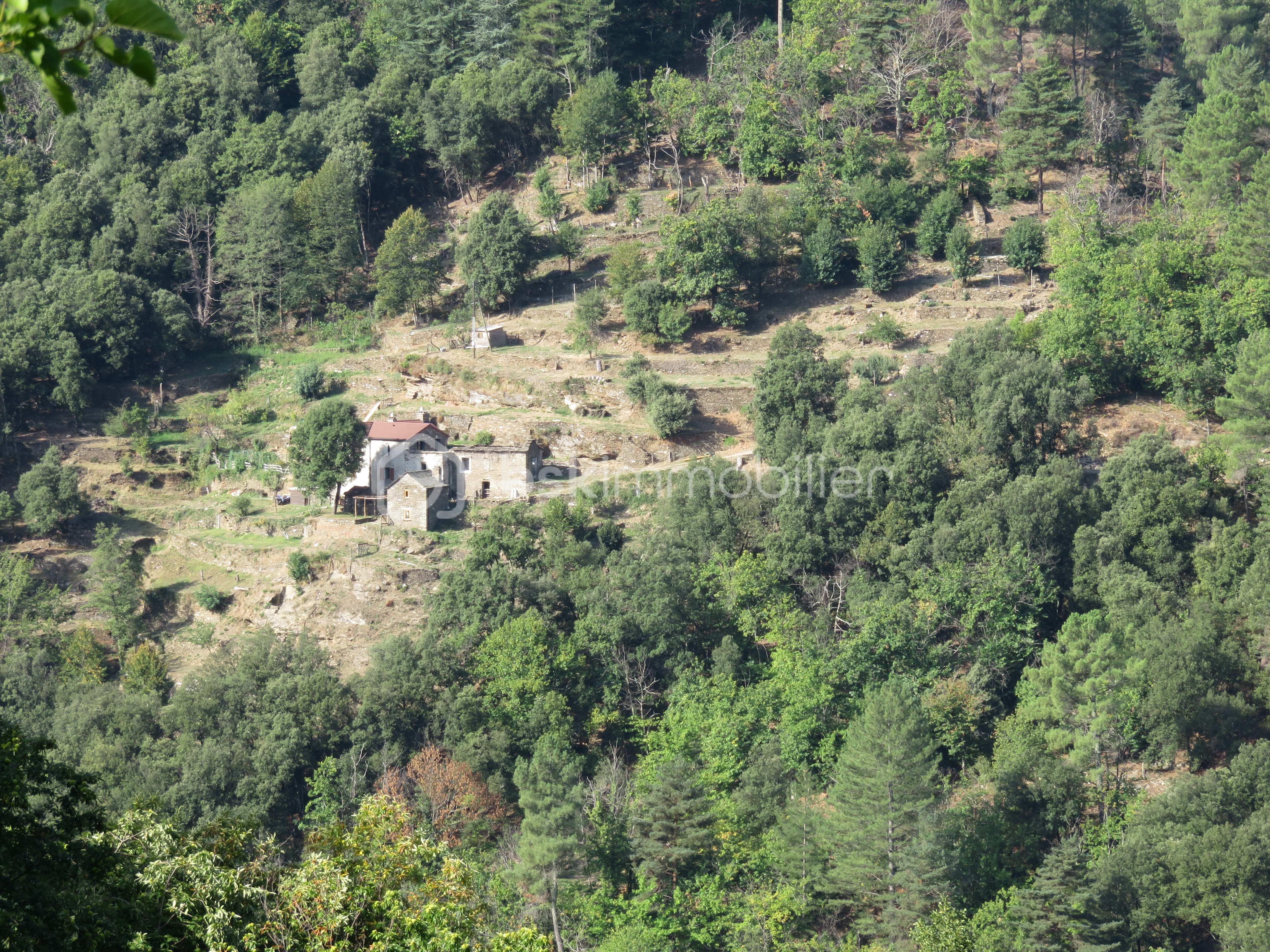 Mas de 90 m² - IMG_0598.JPG