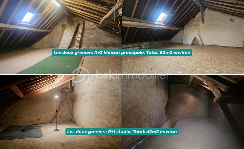 Maison traditionnelle de 226 m² - Audrey Adam Immobilier (14).png