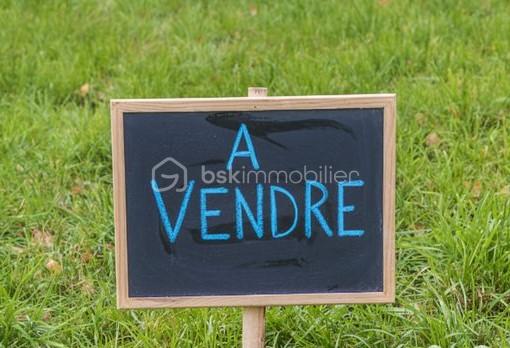 photo terrain en vente.jpg