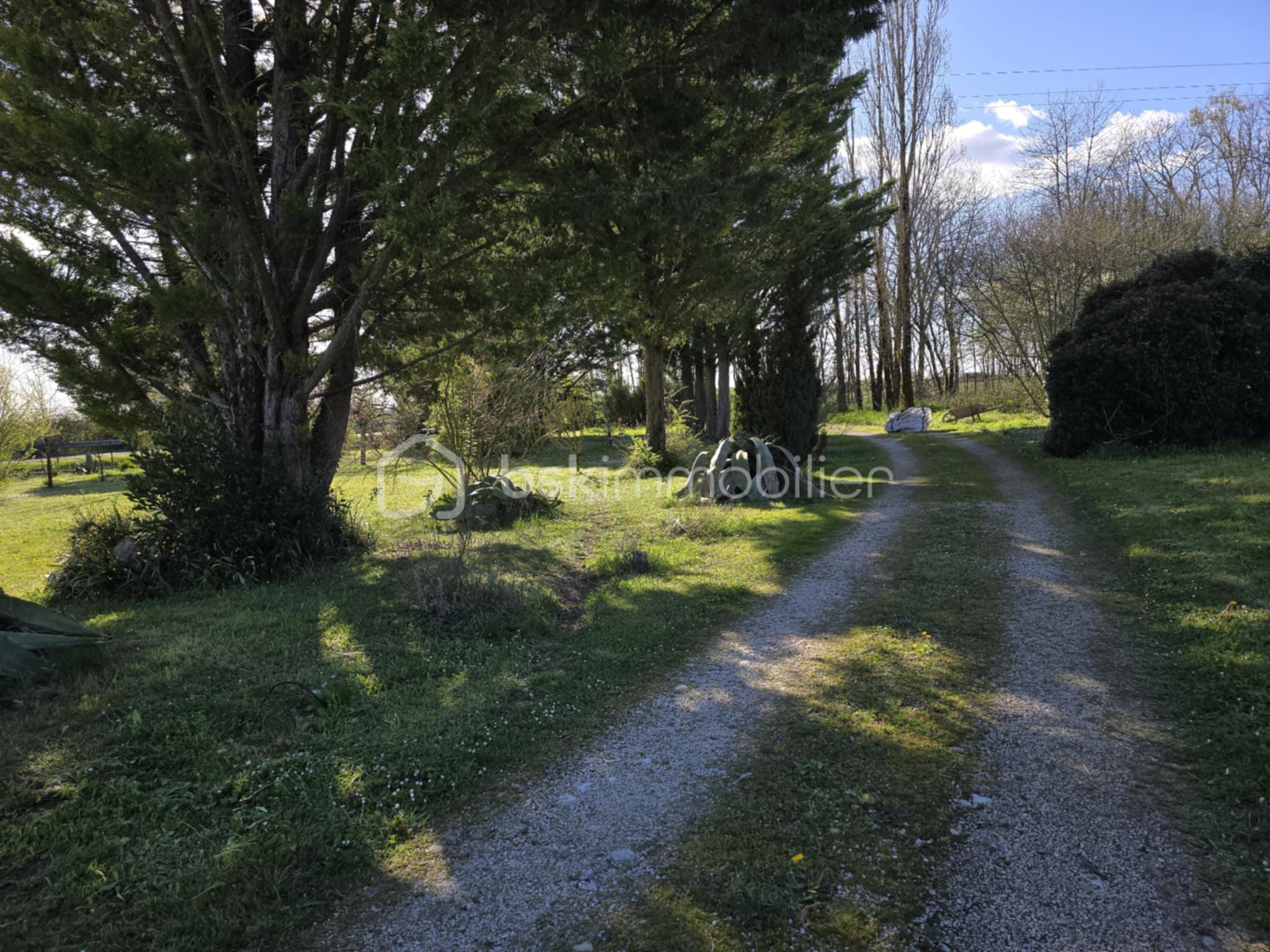 Maison de 288 m² - allee.jpeg