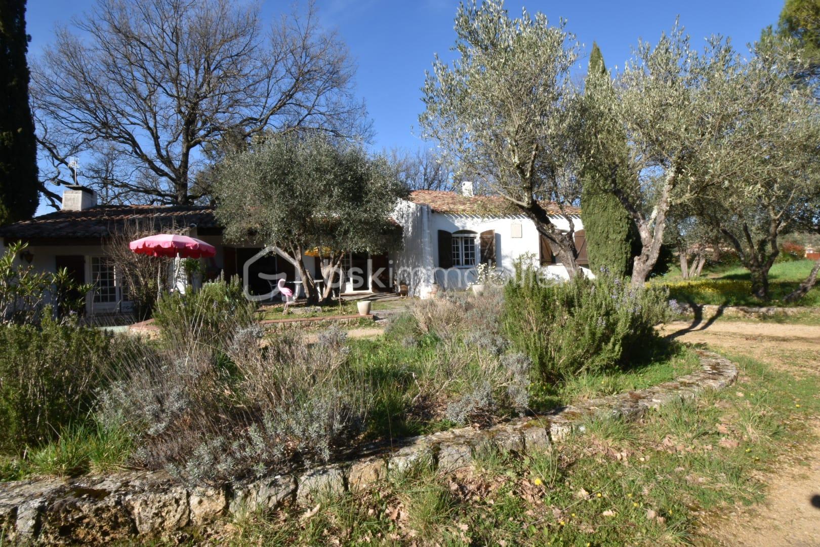 WhatsApp Image 2026-04-20 at 19.37.21 (3).jpeg