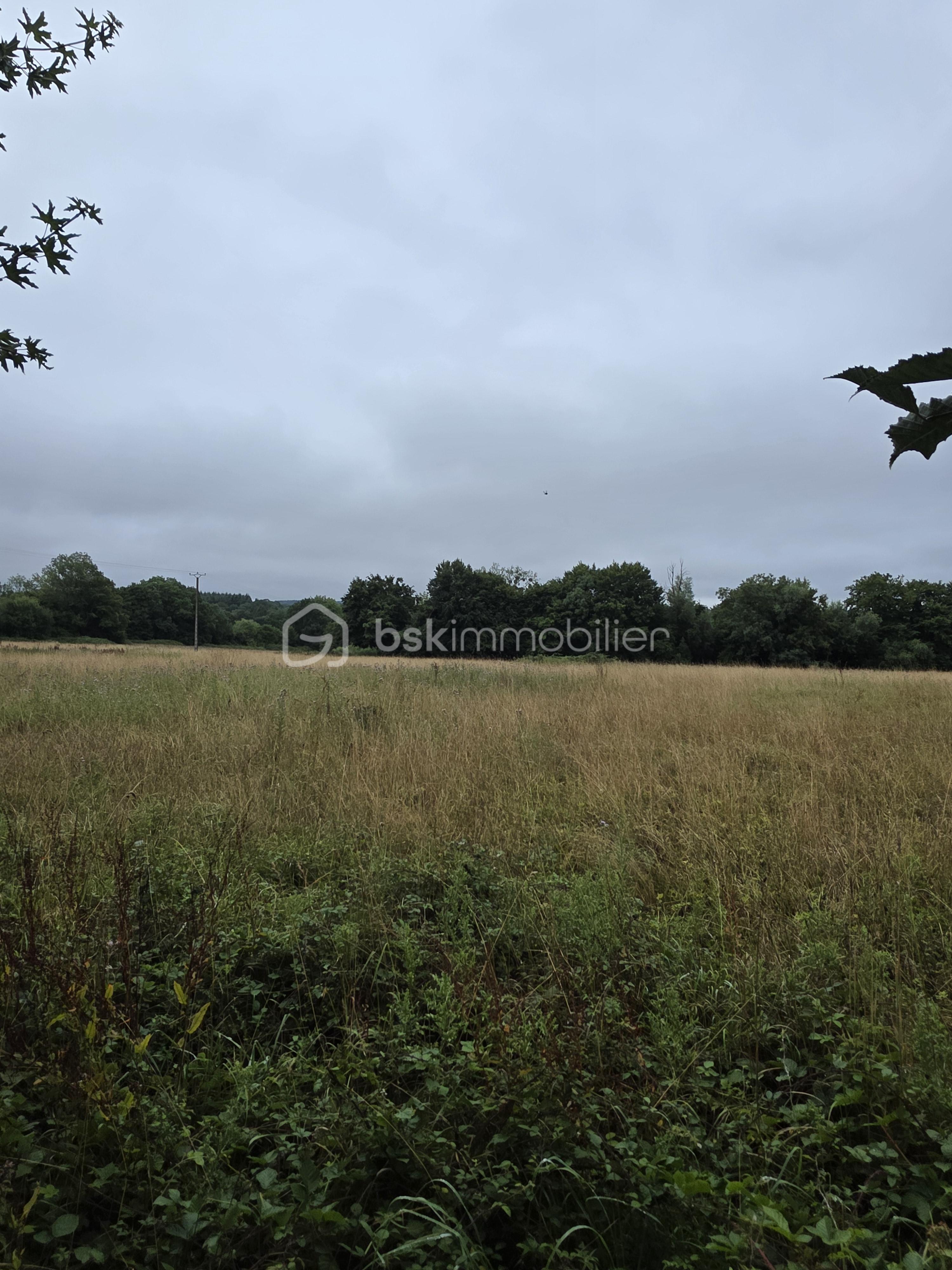 Terrain de 40 655 m² - 1000007476.jpg