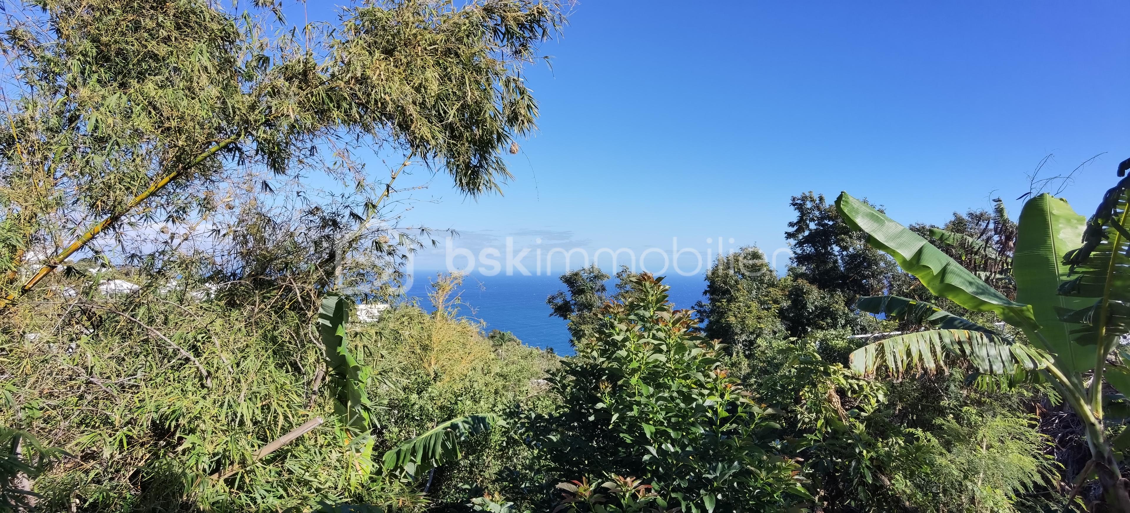 Terrain de 704 m² - IMG_20251006_081925.jpg