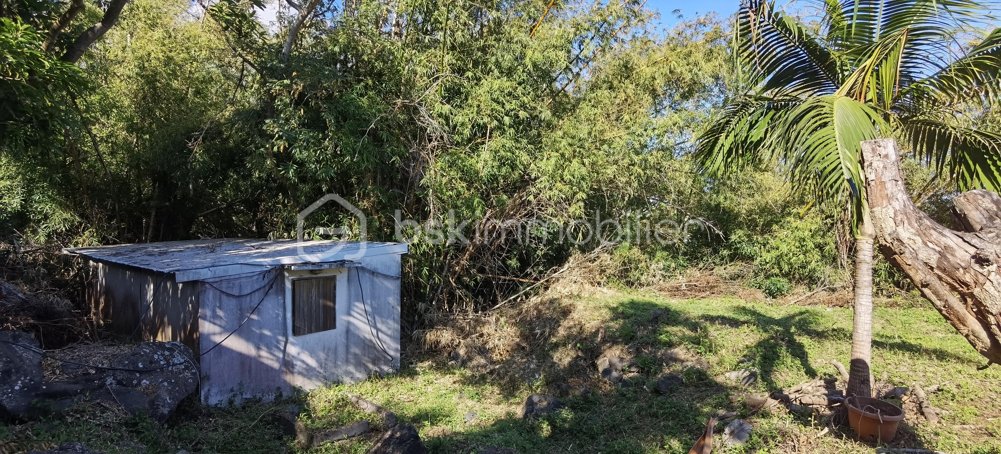 Terrain de 704 m² - IMG_20251006_082439.jpg