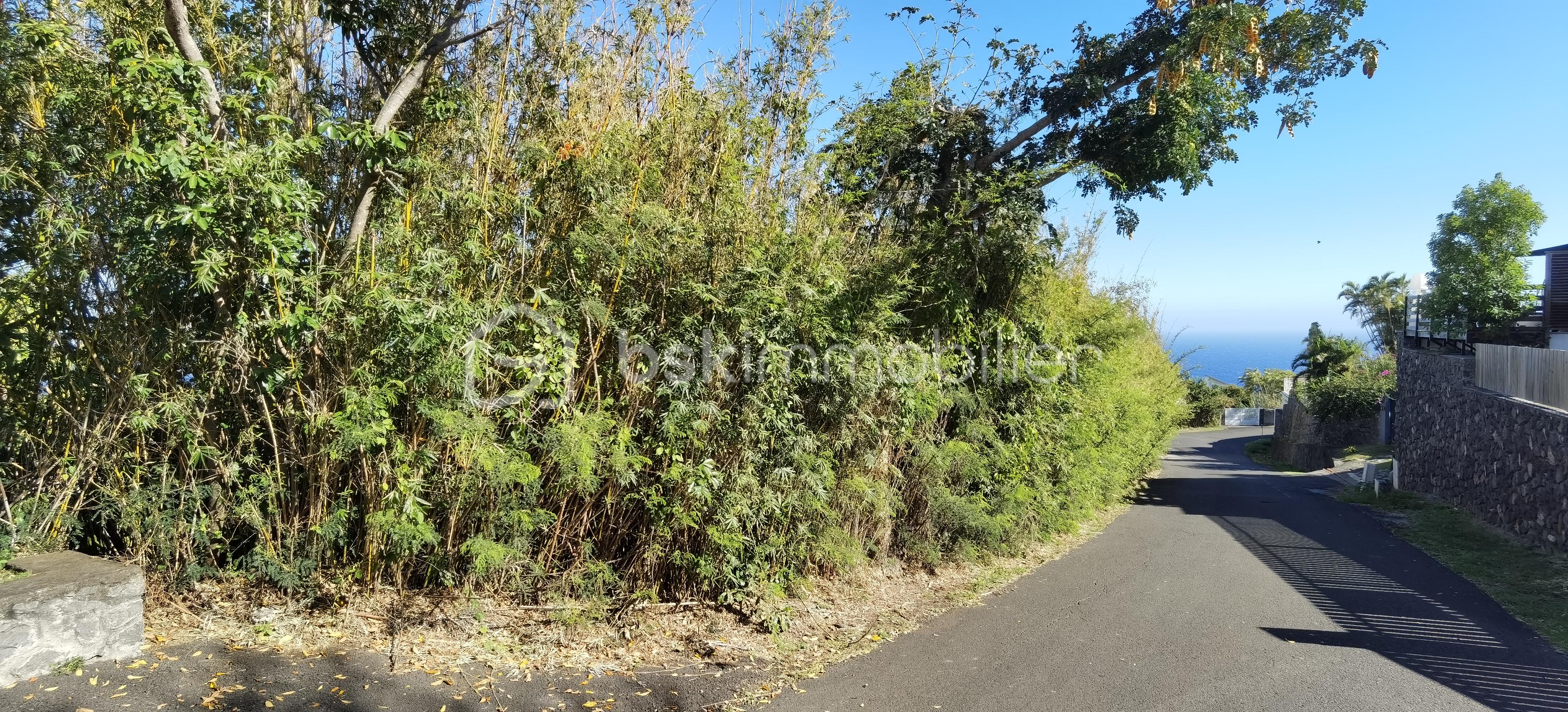 Terrain de 704 m² - IMG_20251006_082639.jpg