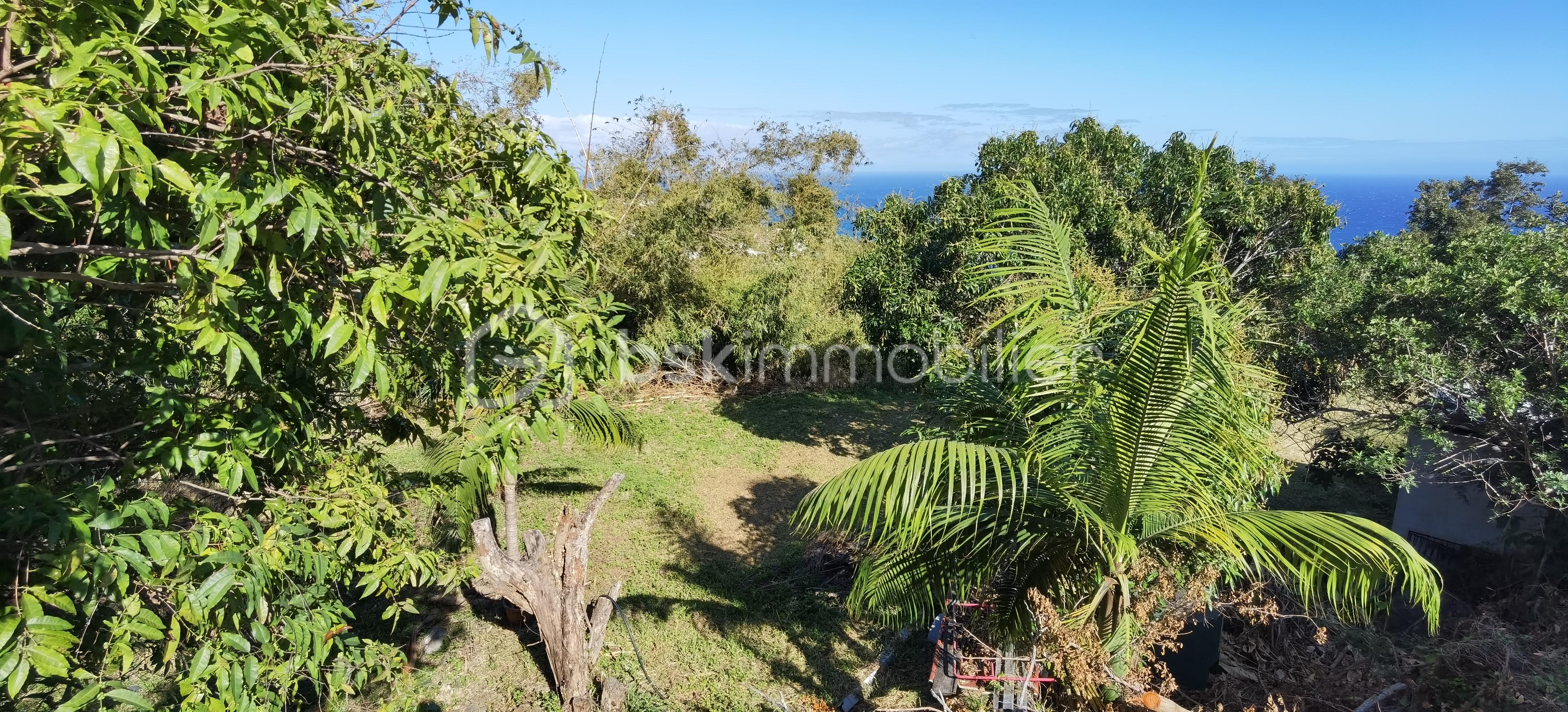 Terrain de 704 m² - IMG_20251006_082224.jpg