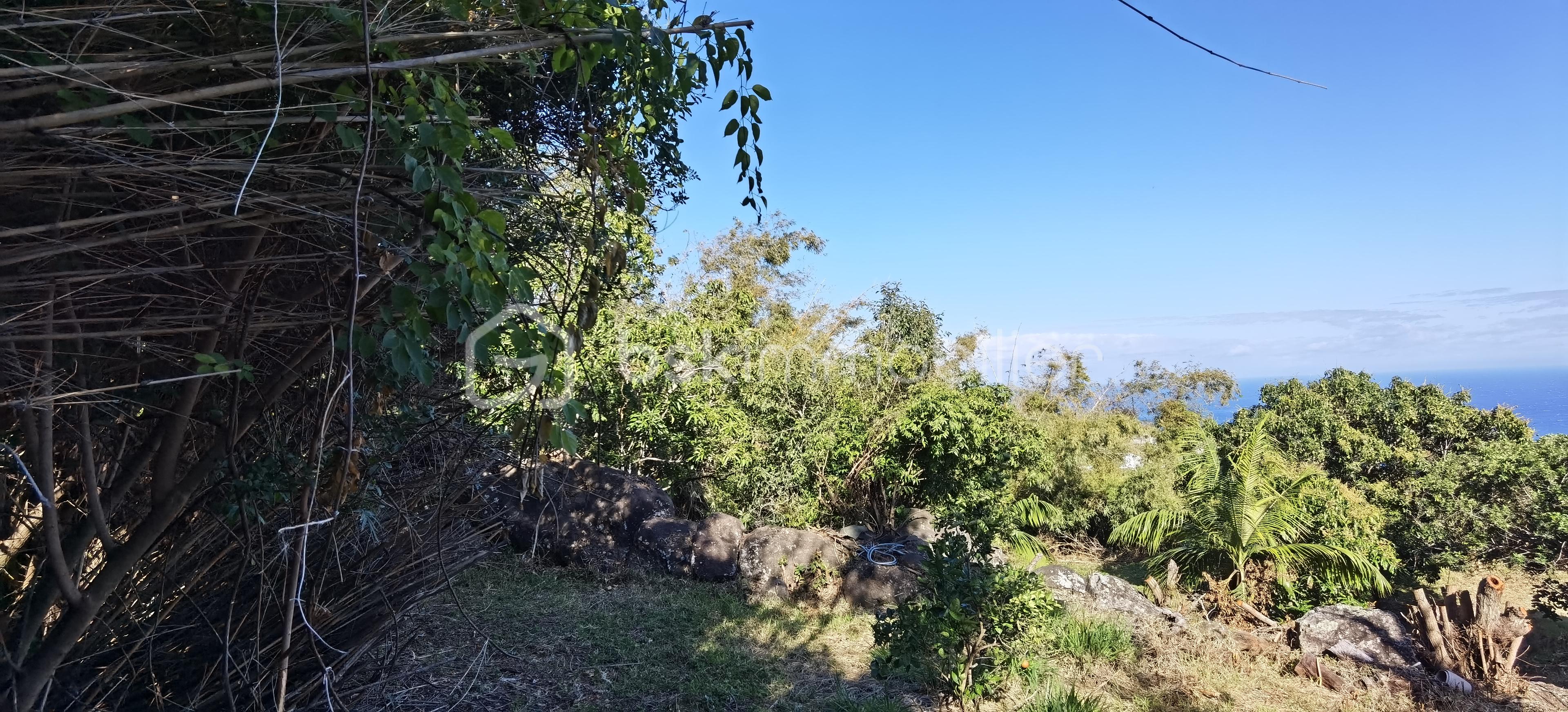 Terrain de 704 m² - IMG_20251006_082055.jpg