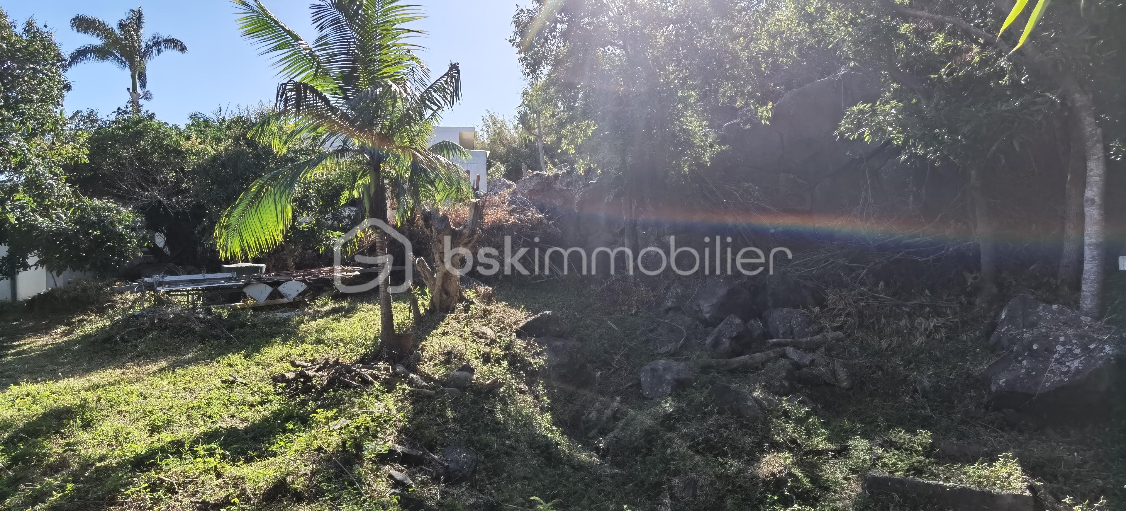 Terrain de 704 m² - IMG_20251006_082401.jpg