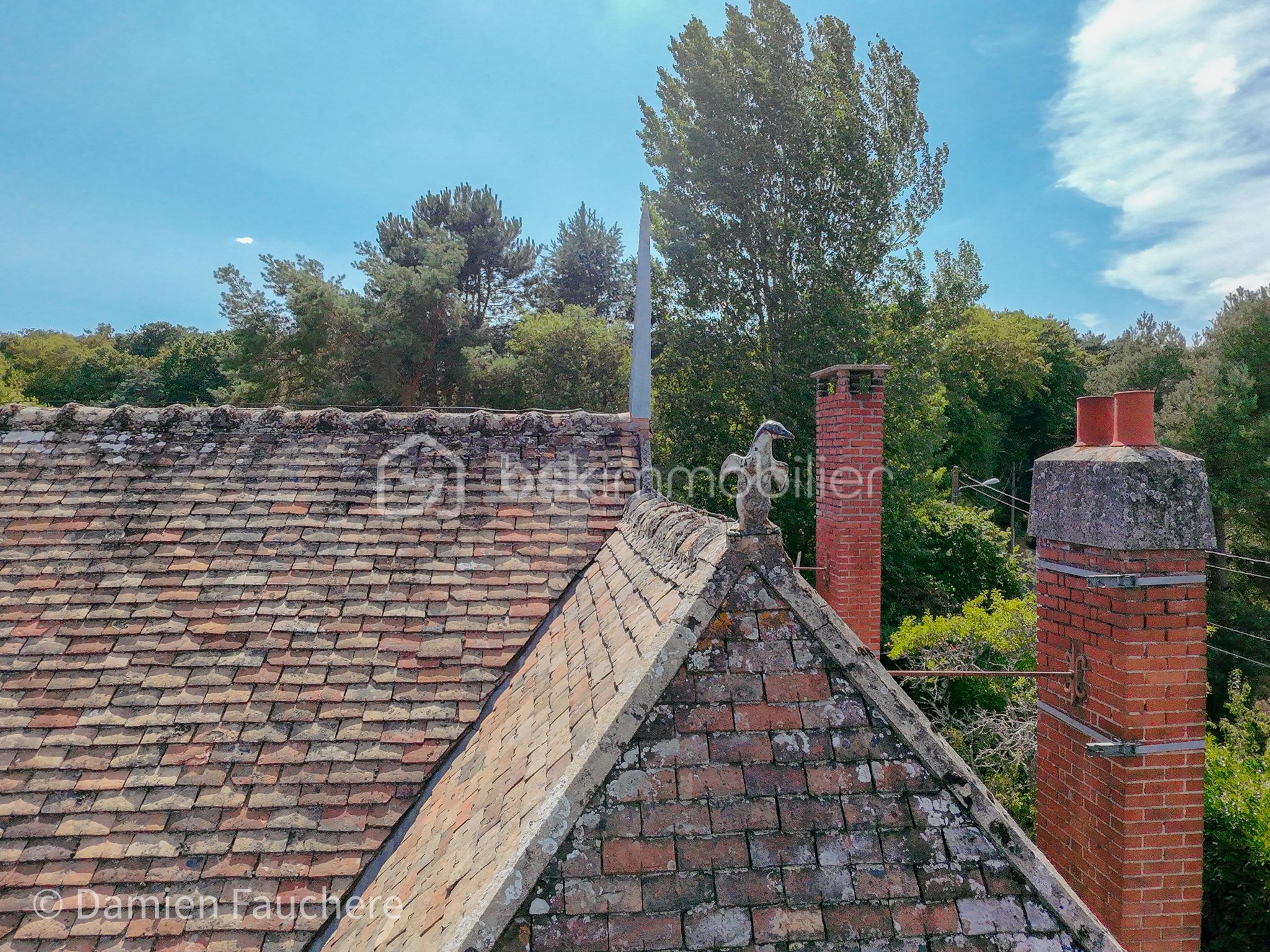 DJI_20260720160855_0132_D.jpg