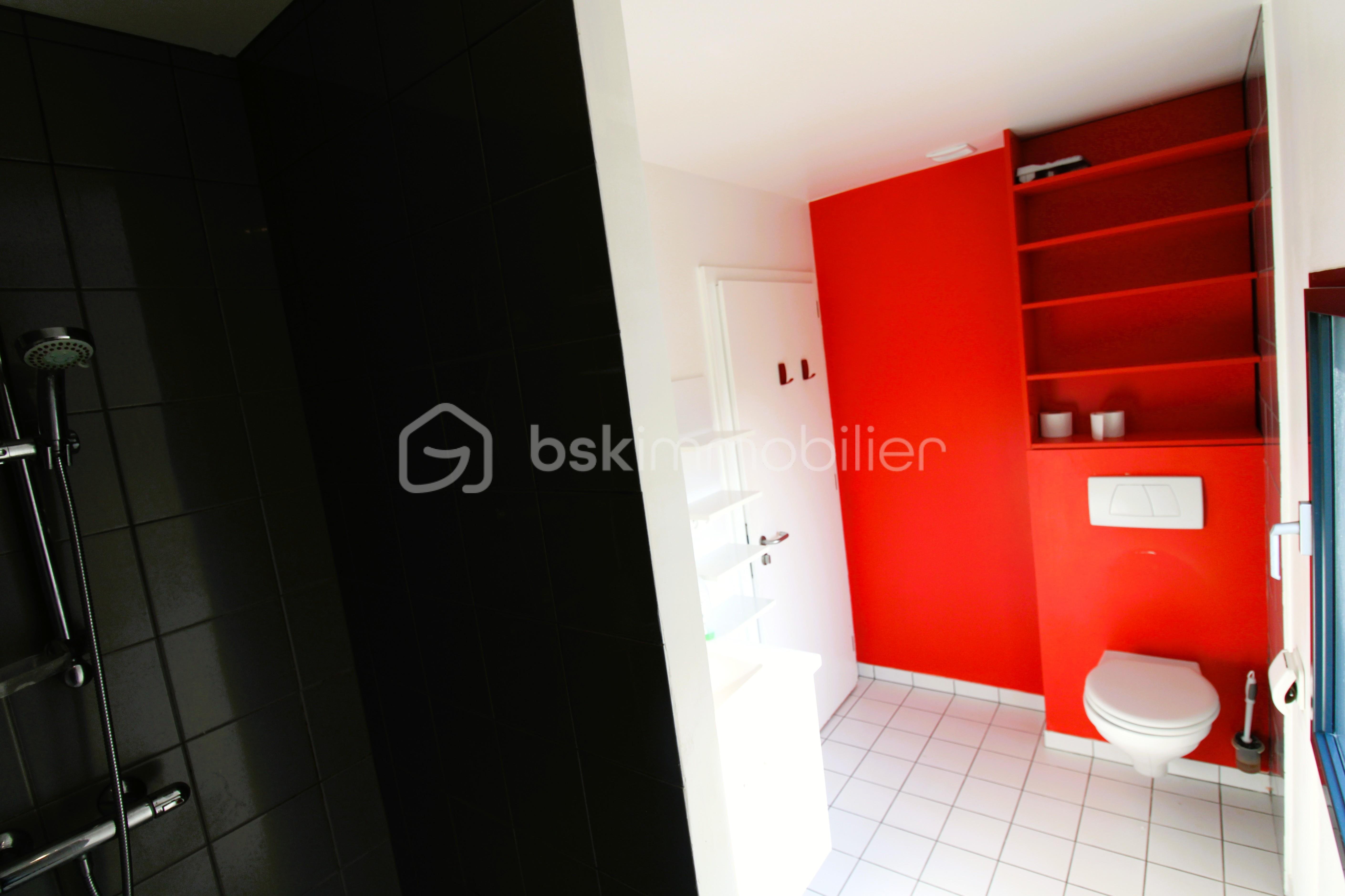 SALLE D EAU RDC V1.JPG