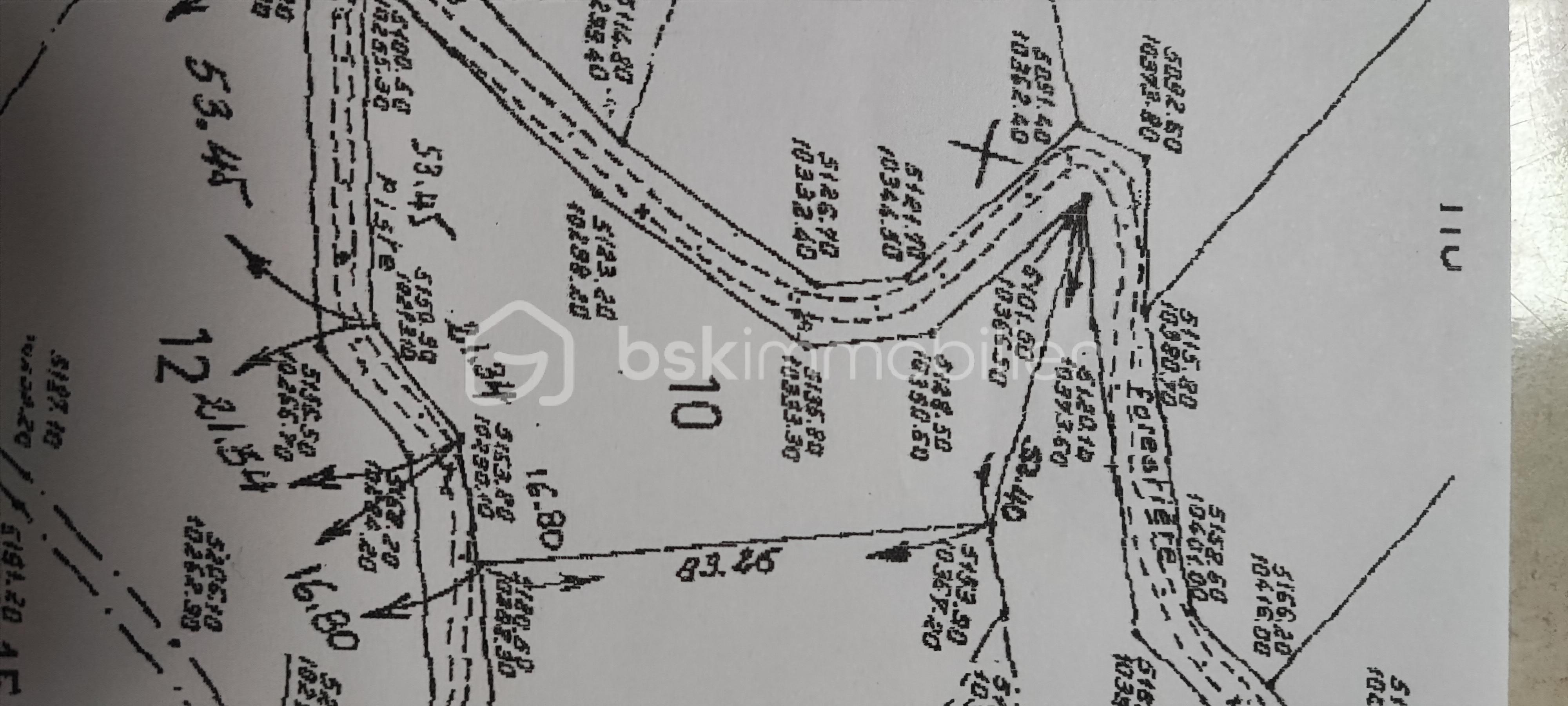 Terrain de loisirs de 4 296 m² - mireille terrain plan(1).jpg