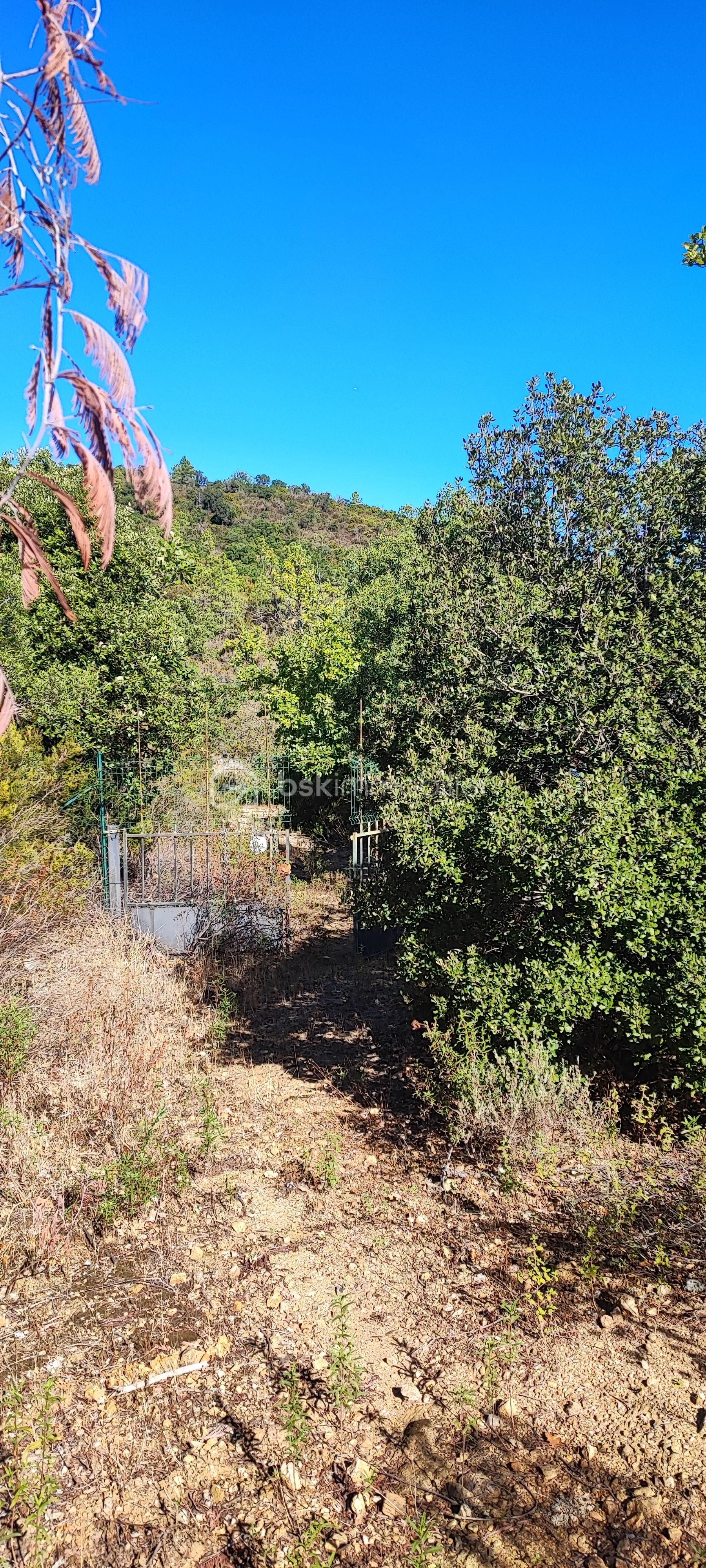 Terrain de loisirs de 4 296 m²