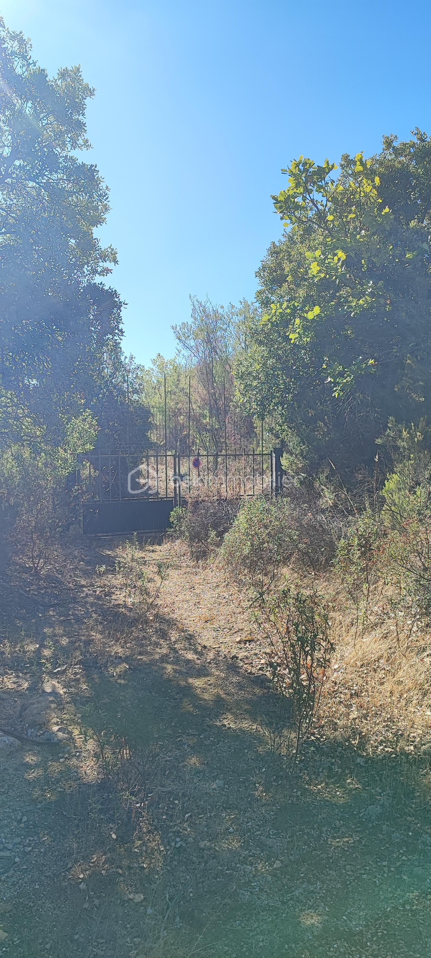 Terrain de loisirs de 4 296 m² - mireille terrain portail 2.jpg