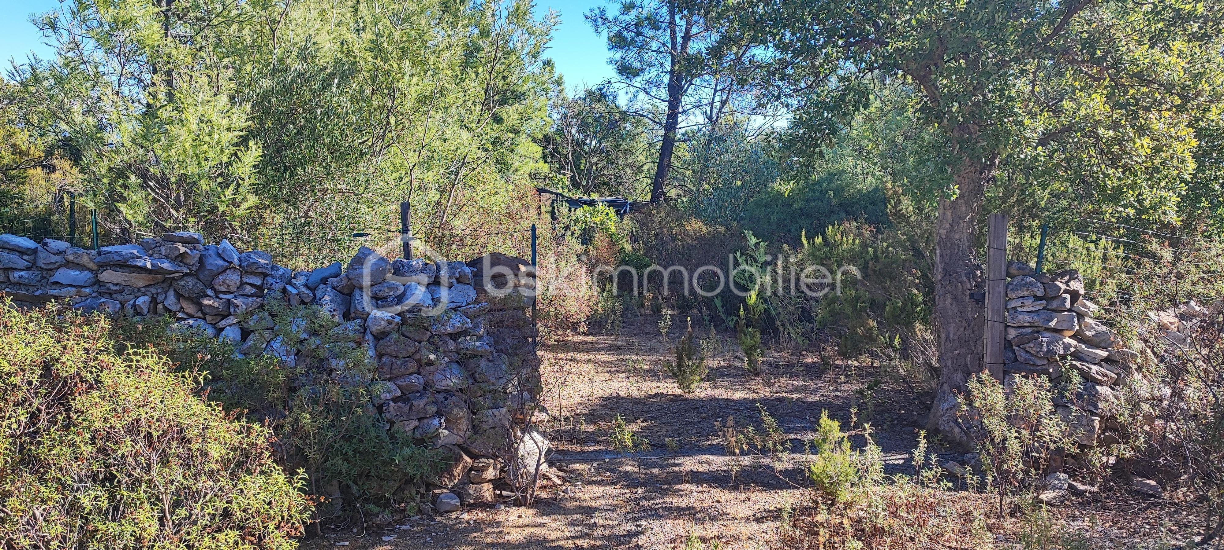 Terrain de loisirs de 4 296 m² - mireille terrain.jpg