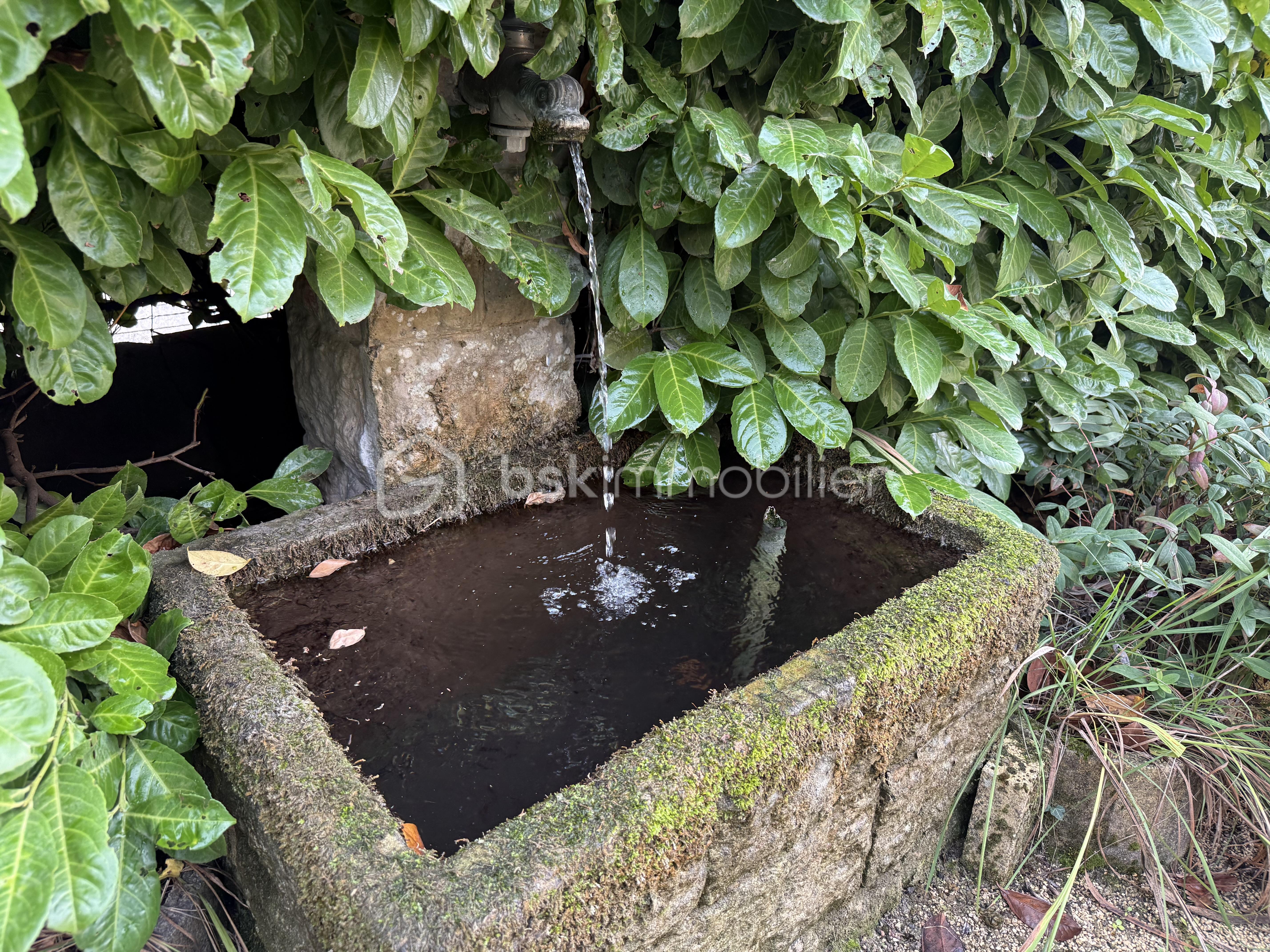 Maison champier Contour Fontaine source 2.jpeg