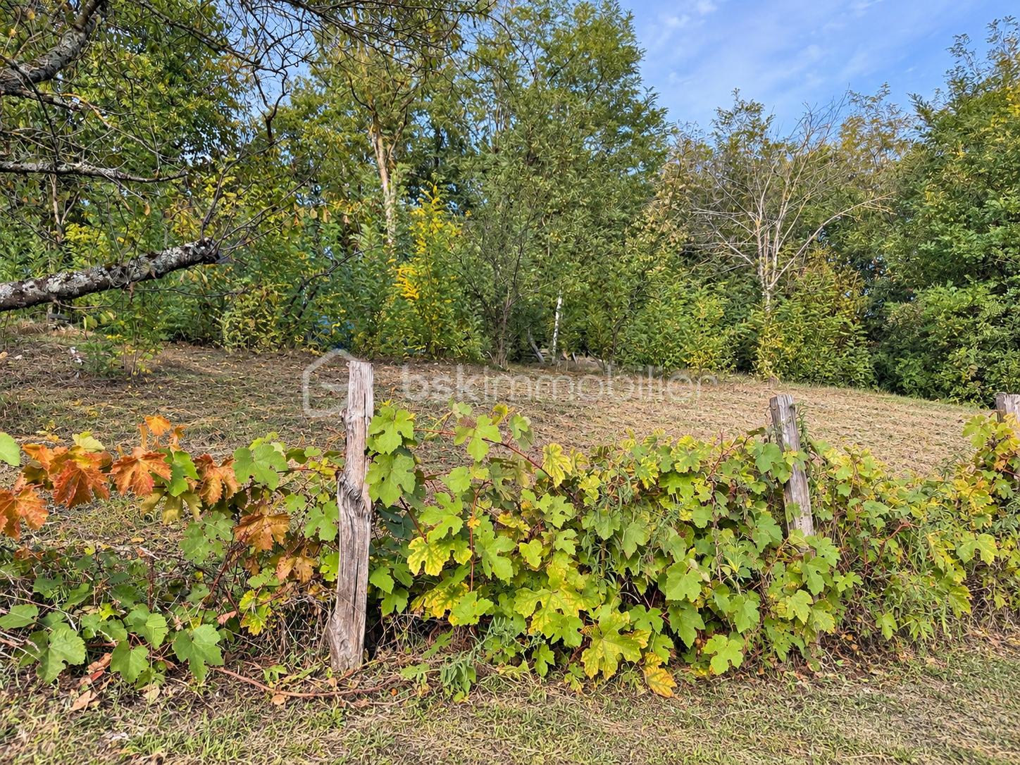 Maison Champier Contour Terrain arrière 1.png