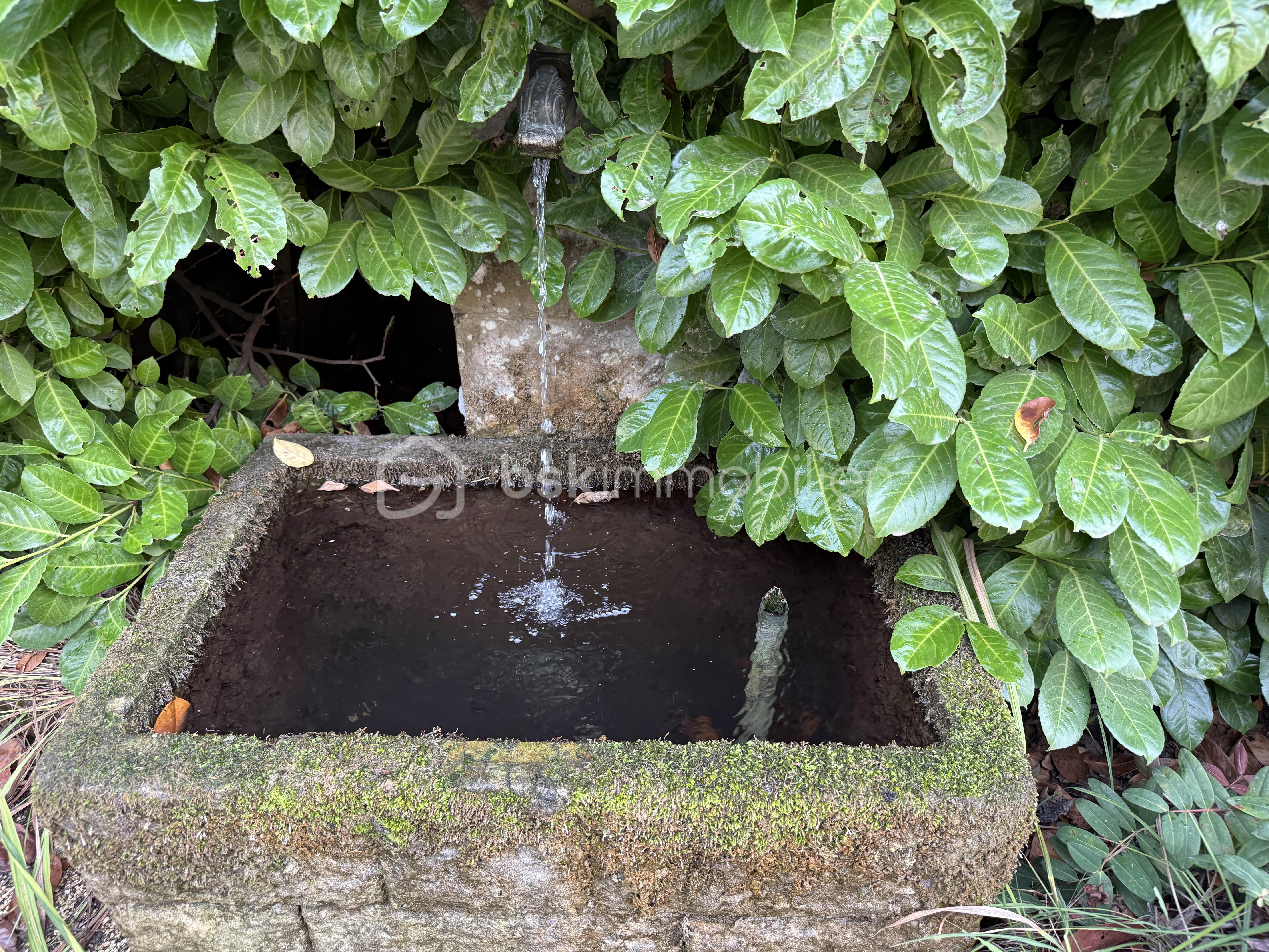 Maison Champier Contour Fontaine source.jpeg