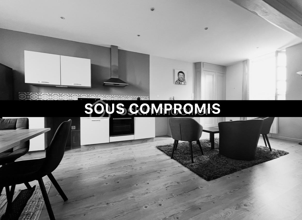 Appartement de 48 m² - tempImage7VI5Uq.png