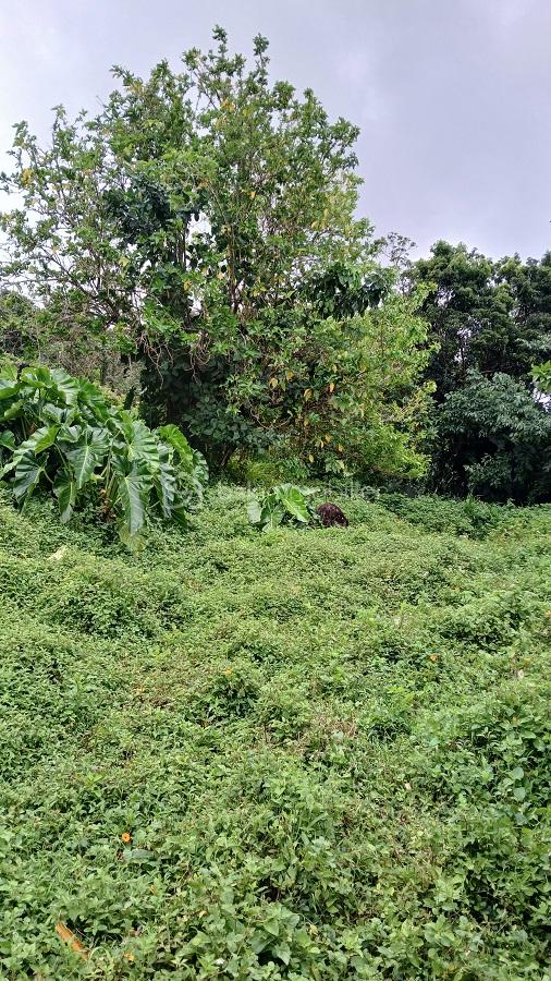 Terrain de 841 m² - 841m² photo 2.jpg