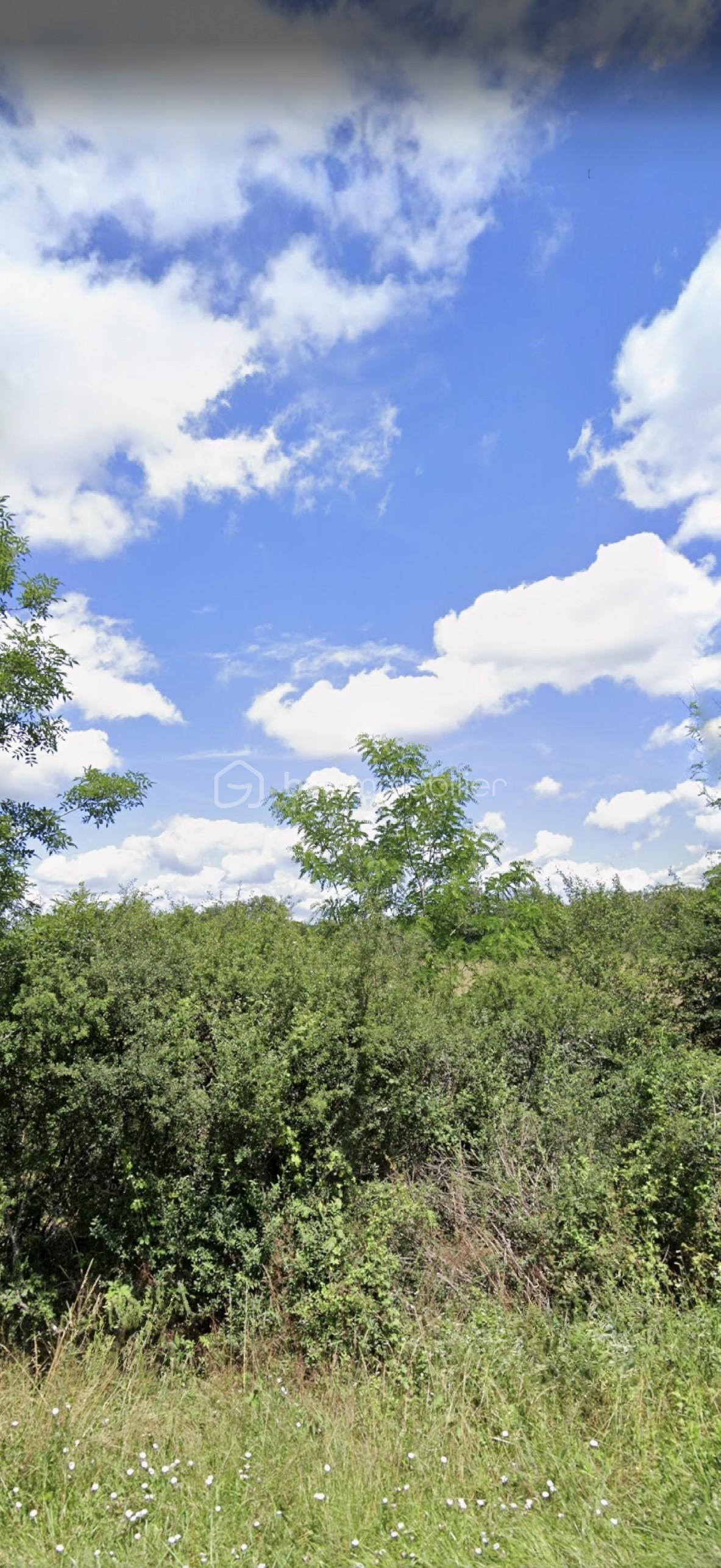Terrain de 9 912 m² - thumbnail_IMG_1192.jpg