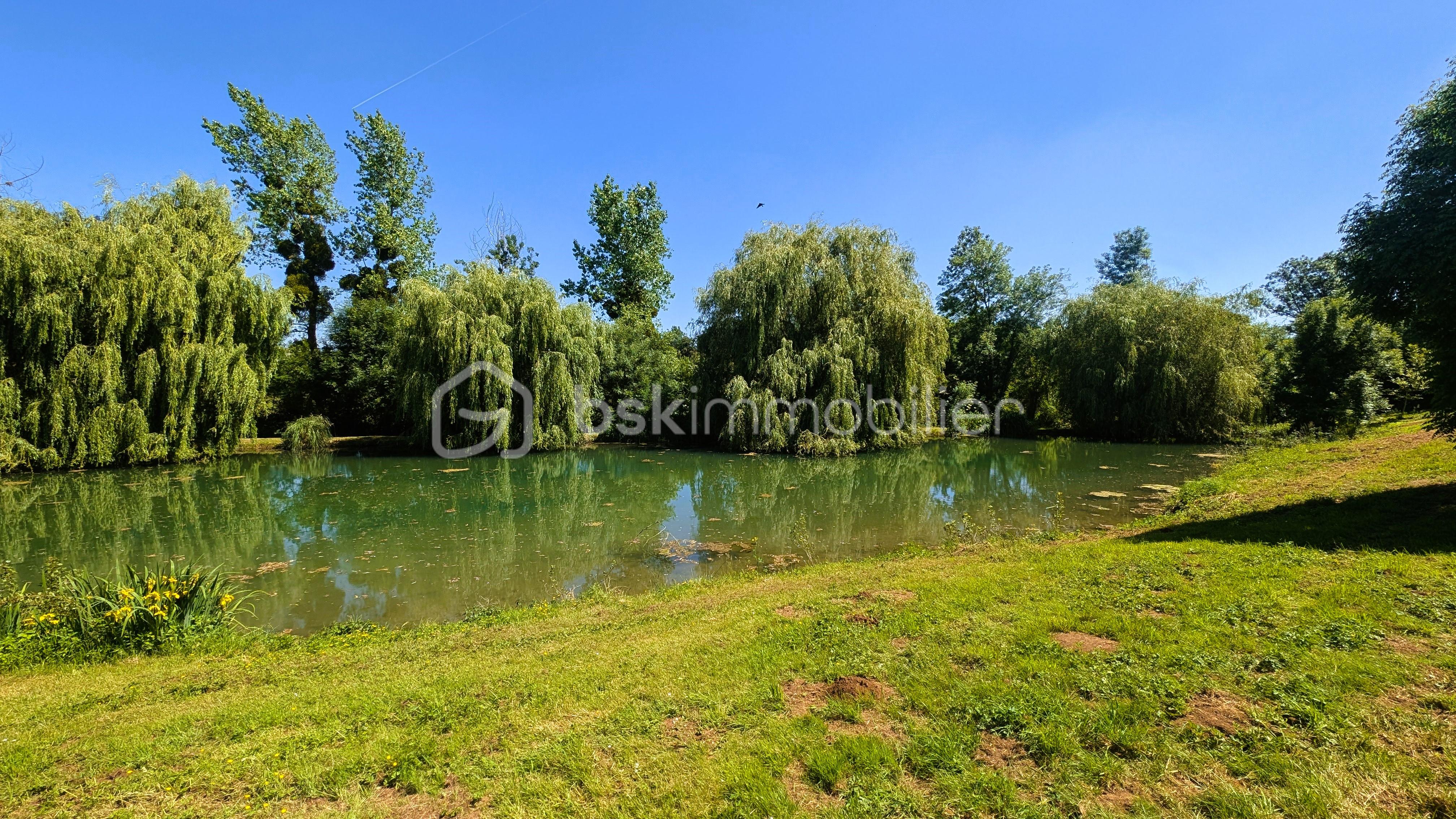 Terrain de 17 300 m² - 9.jpg