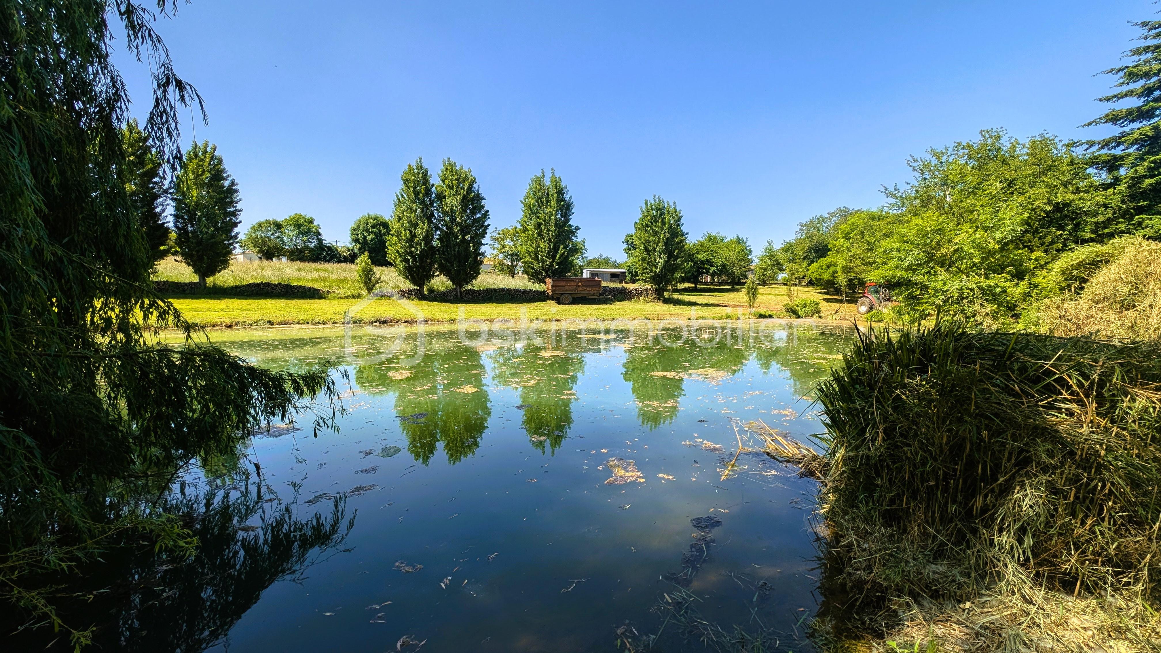 Terrain de 17 300 m² - 10.jpg