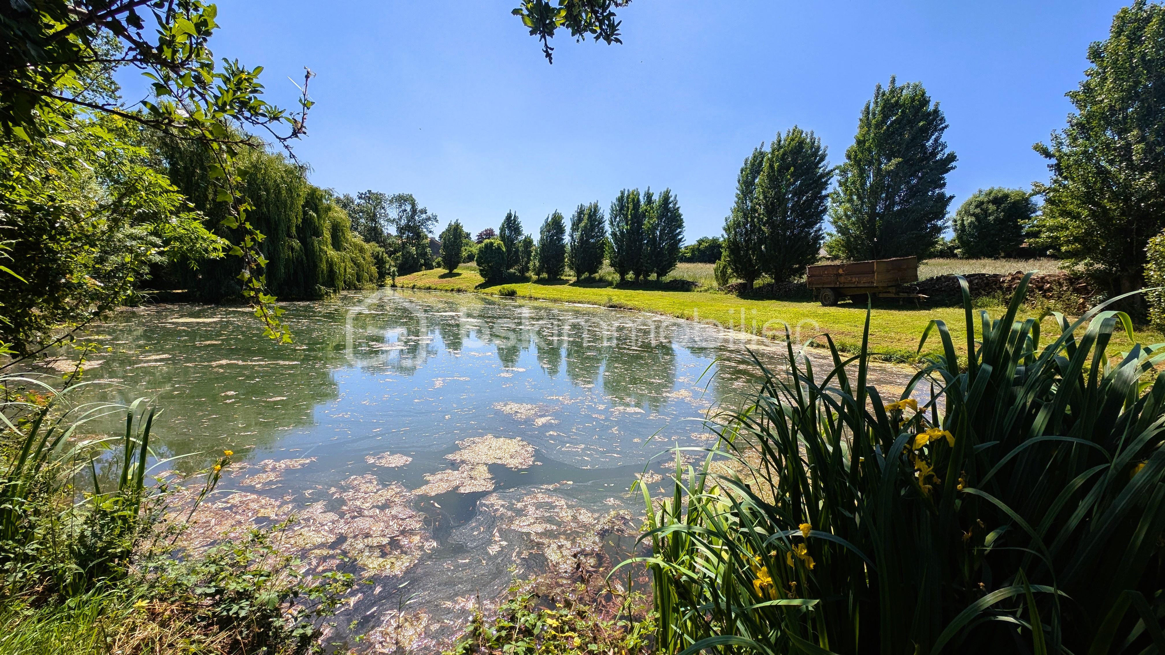 Terrain de 17 300 m² - 7.jpg