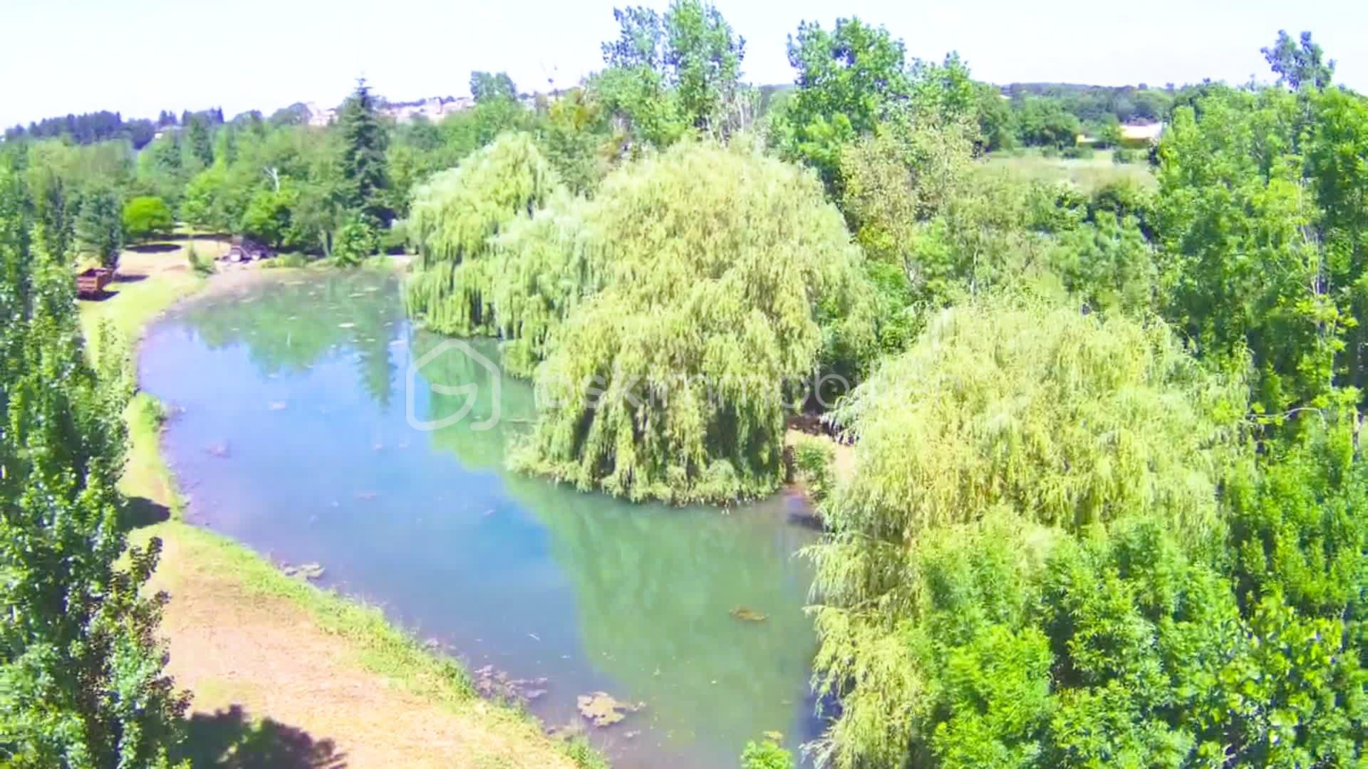 Terrain de 17 300 m² - 4.png