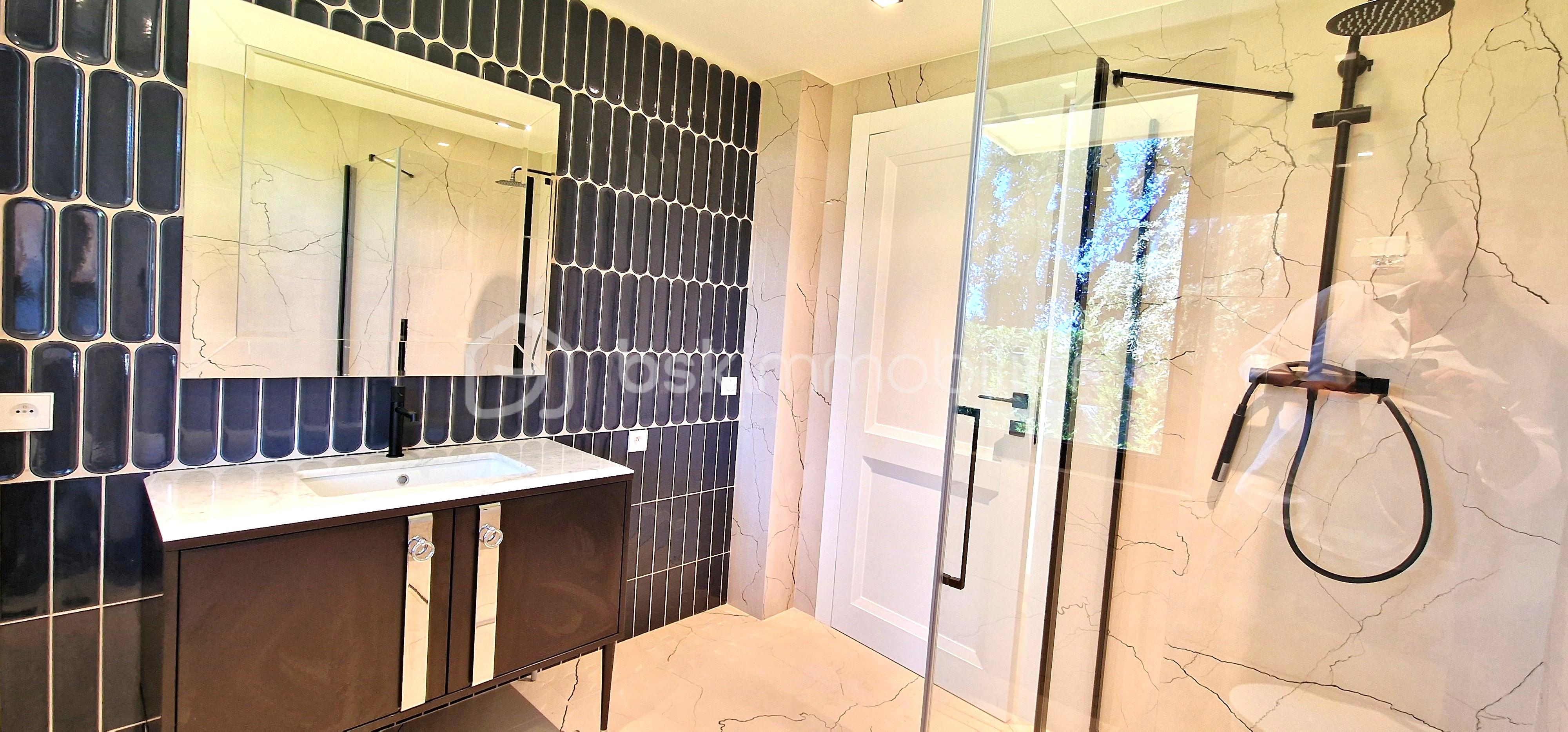 Maison de 229 m² - 20250912_115939.jpg