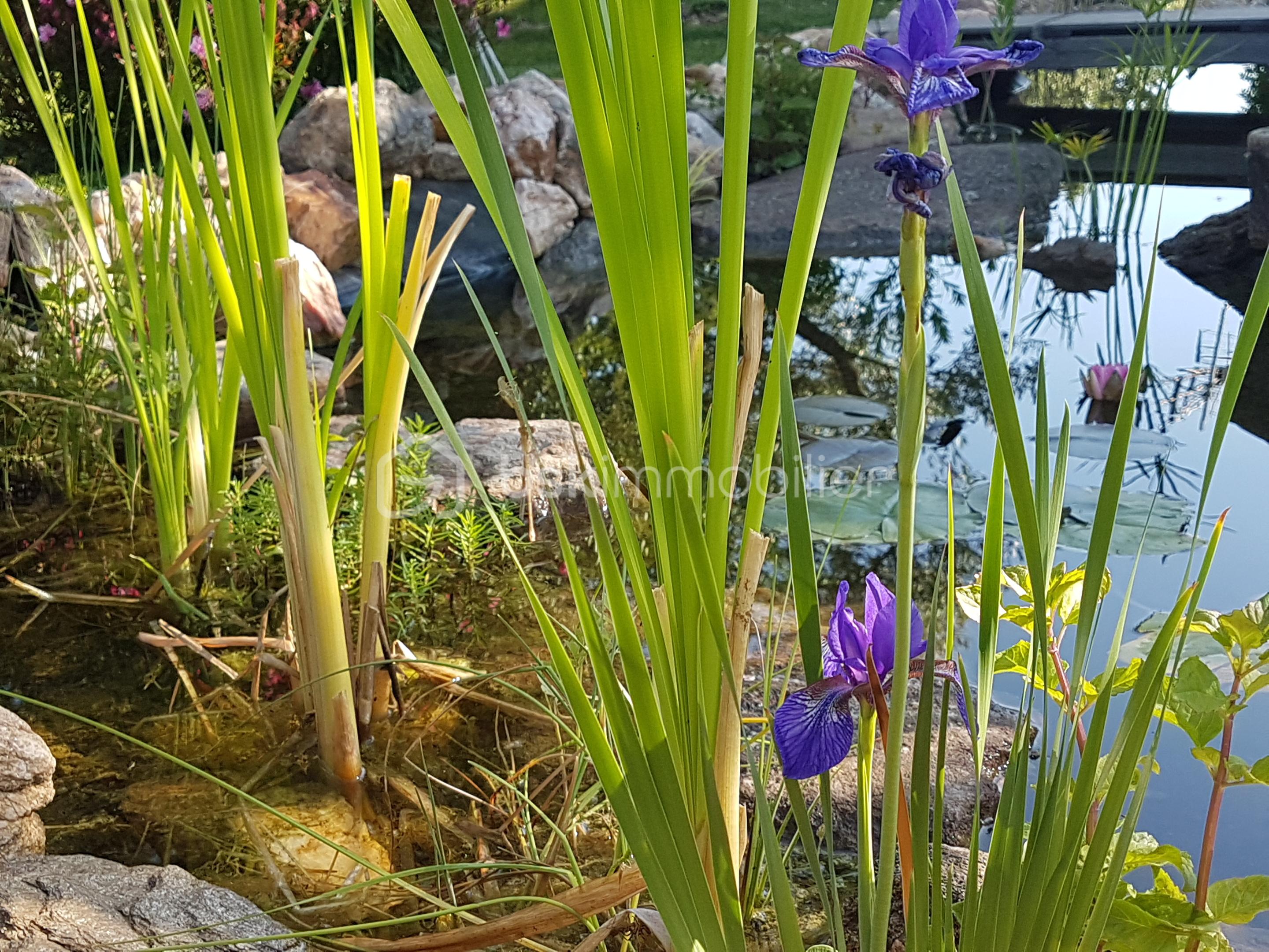 Maison de 162 m² - 20180616_090307.jpg