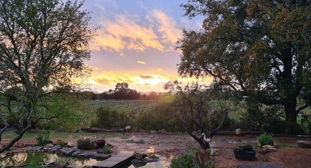 Maison de 162 m² - FB_IMG_1703961493321.jpg