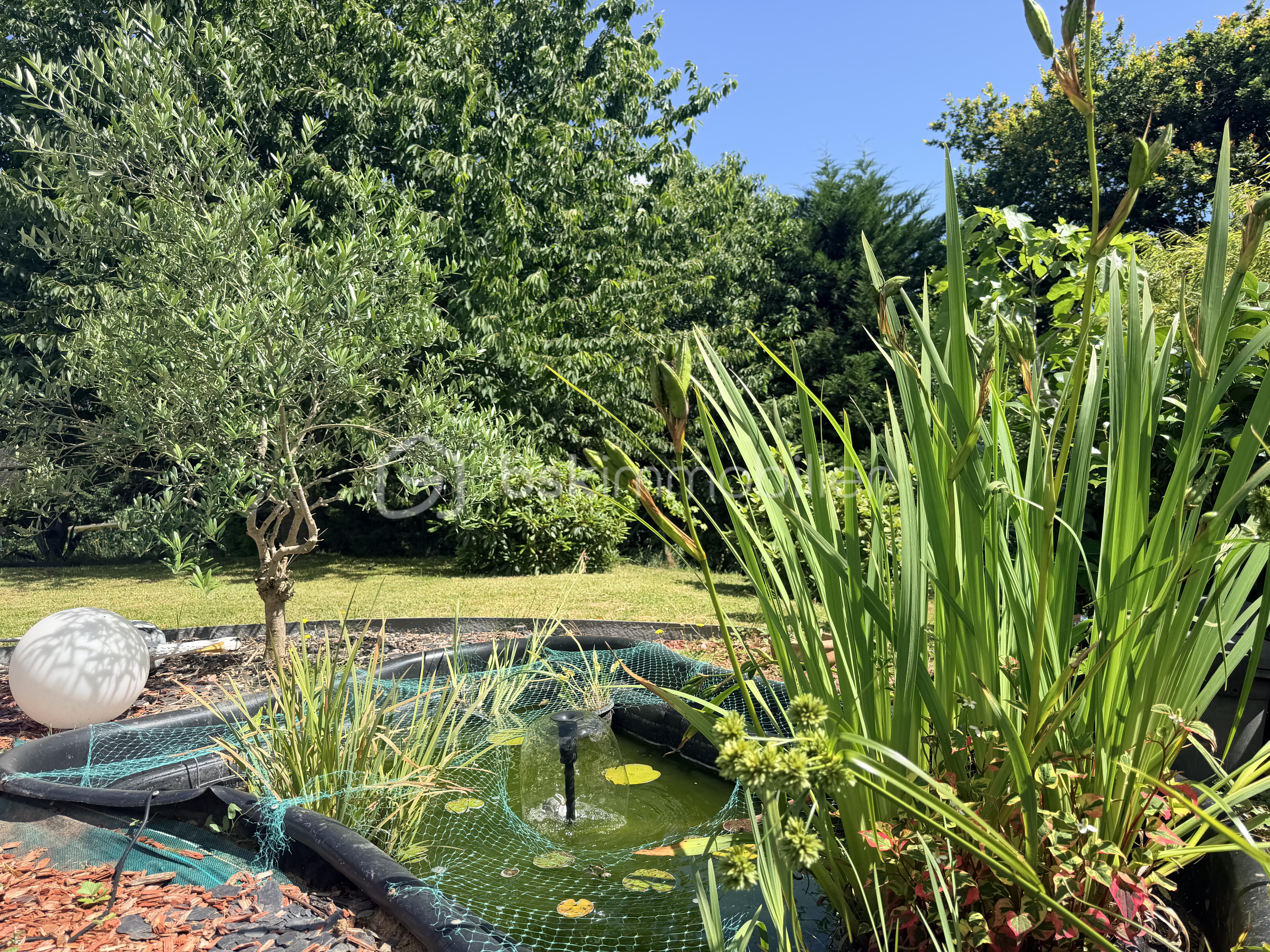IMG_2281.jpeg
