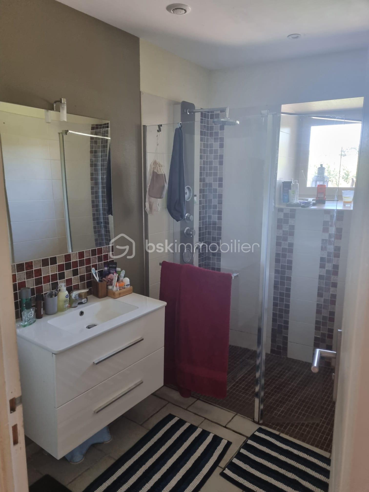 Maison de 349 m² - 04 Salle d'eau maison secondaire.jpeg