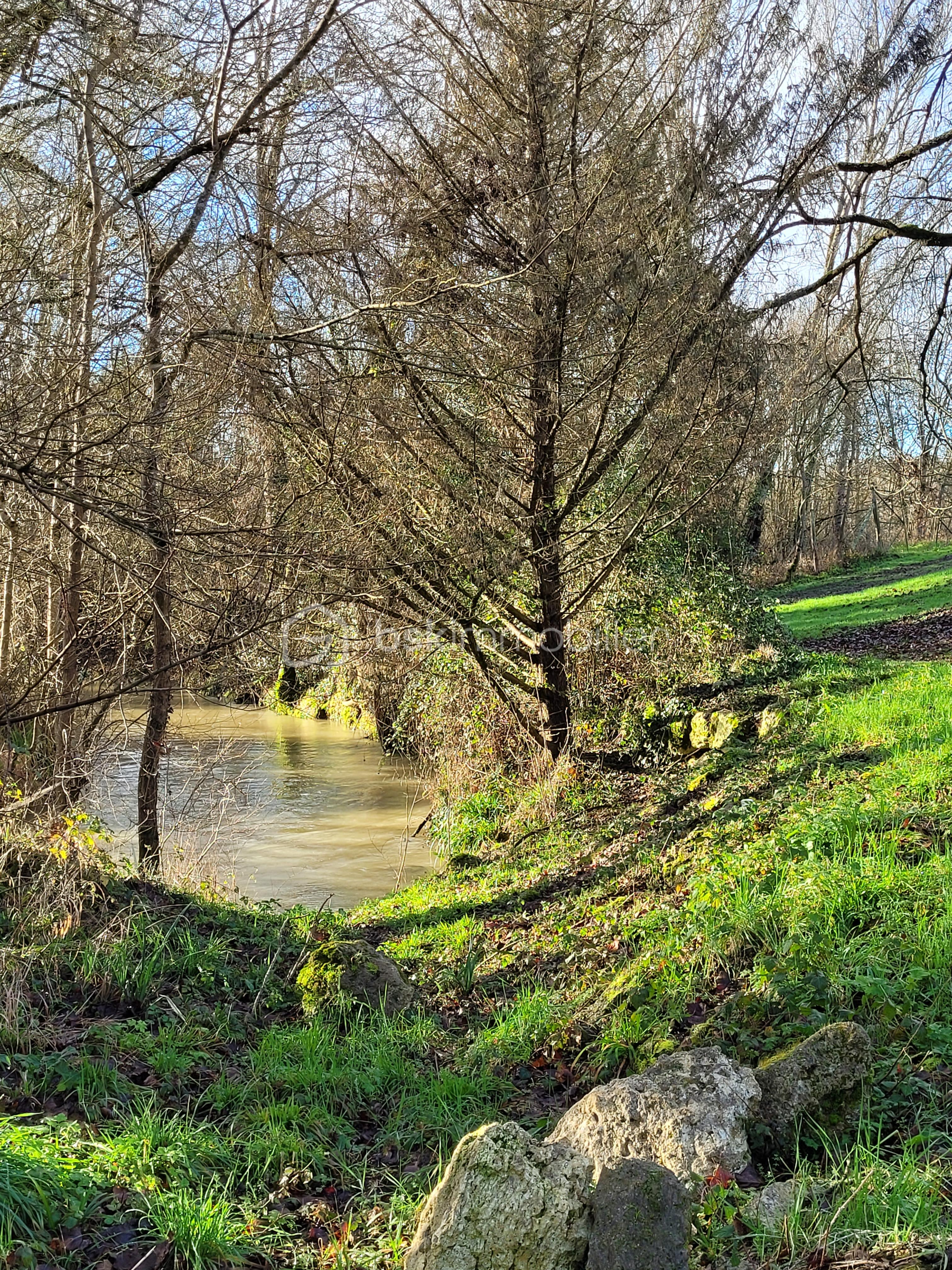 Maison de 349 m² - IMG_9517.jpeg