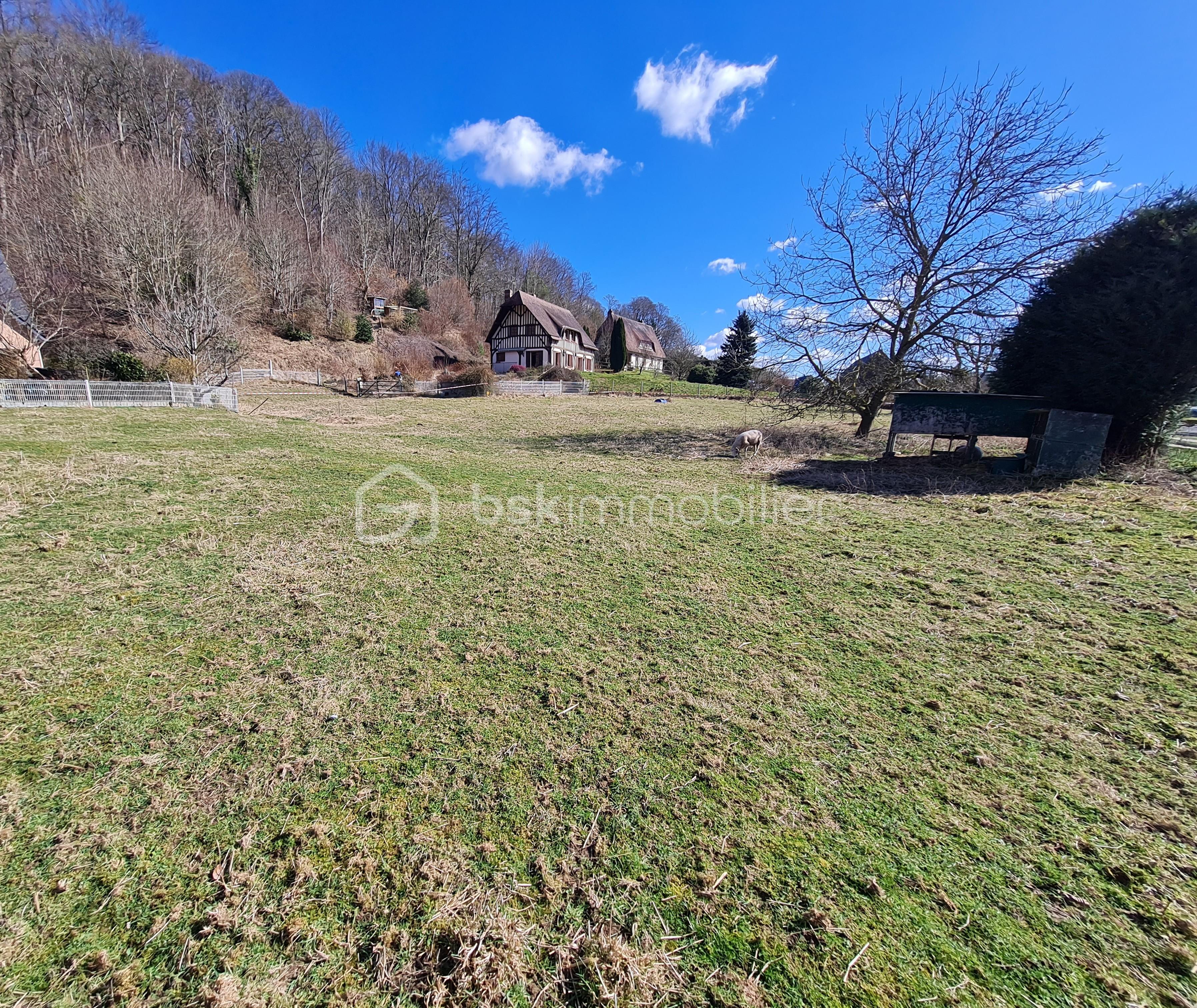Terrain de 1 088 m² - 1234.jpg