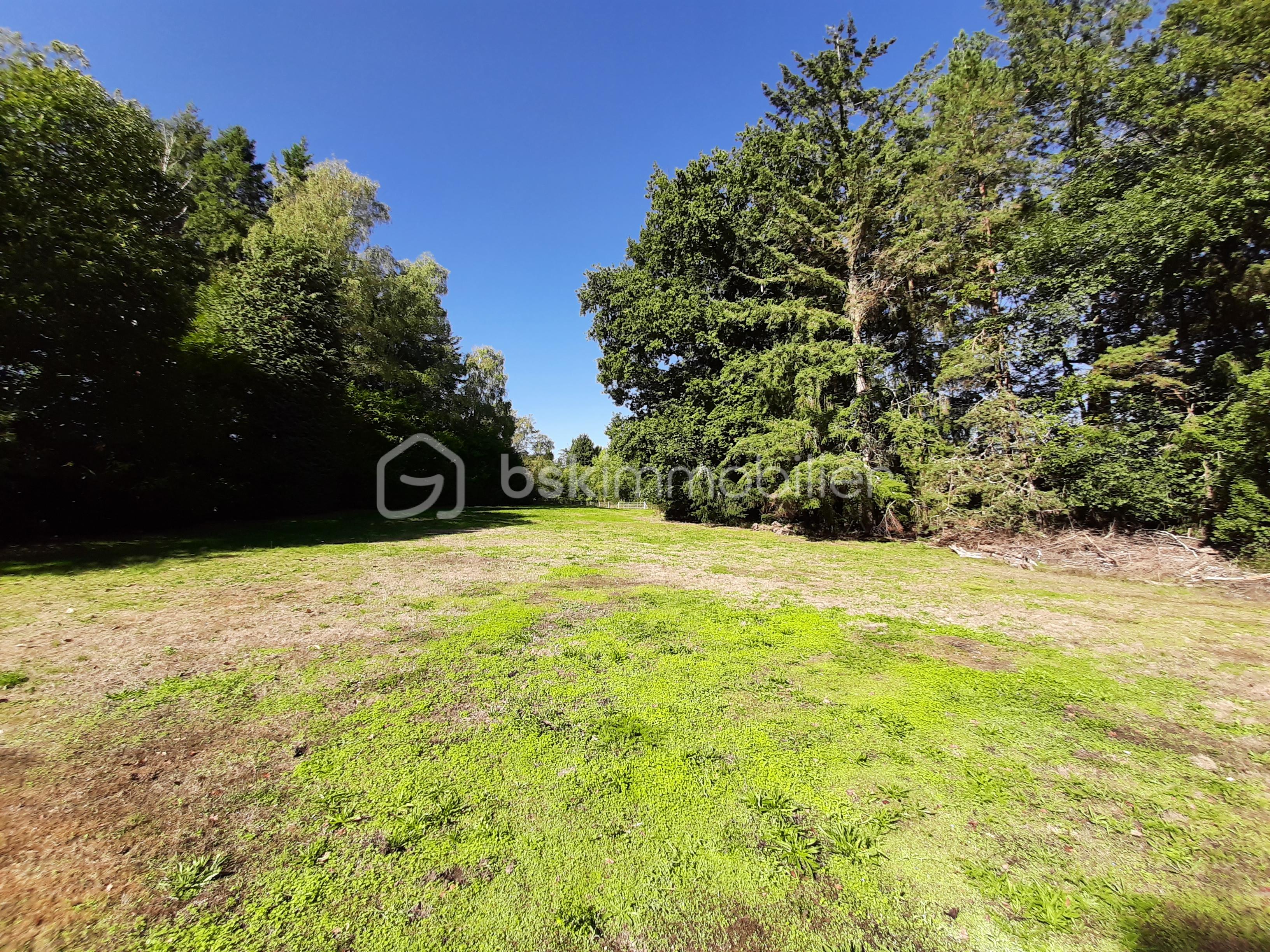 Terrain de loisirs de 9 275 m² - 20250918_114154.jpg